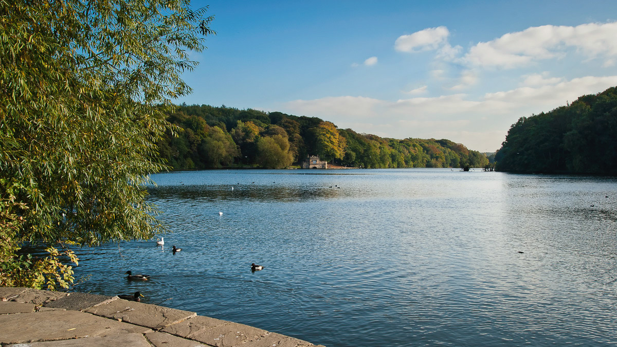 Newmillerdam, Yorkshire