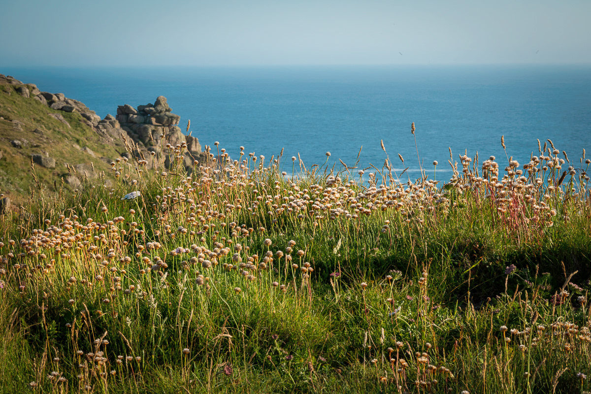 Near Land's End