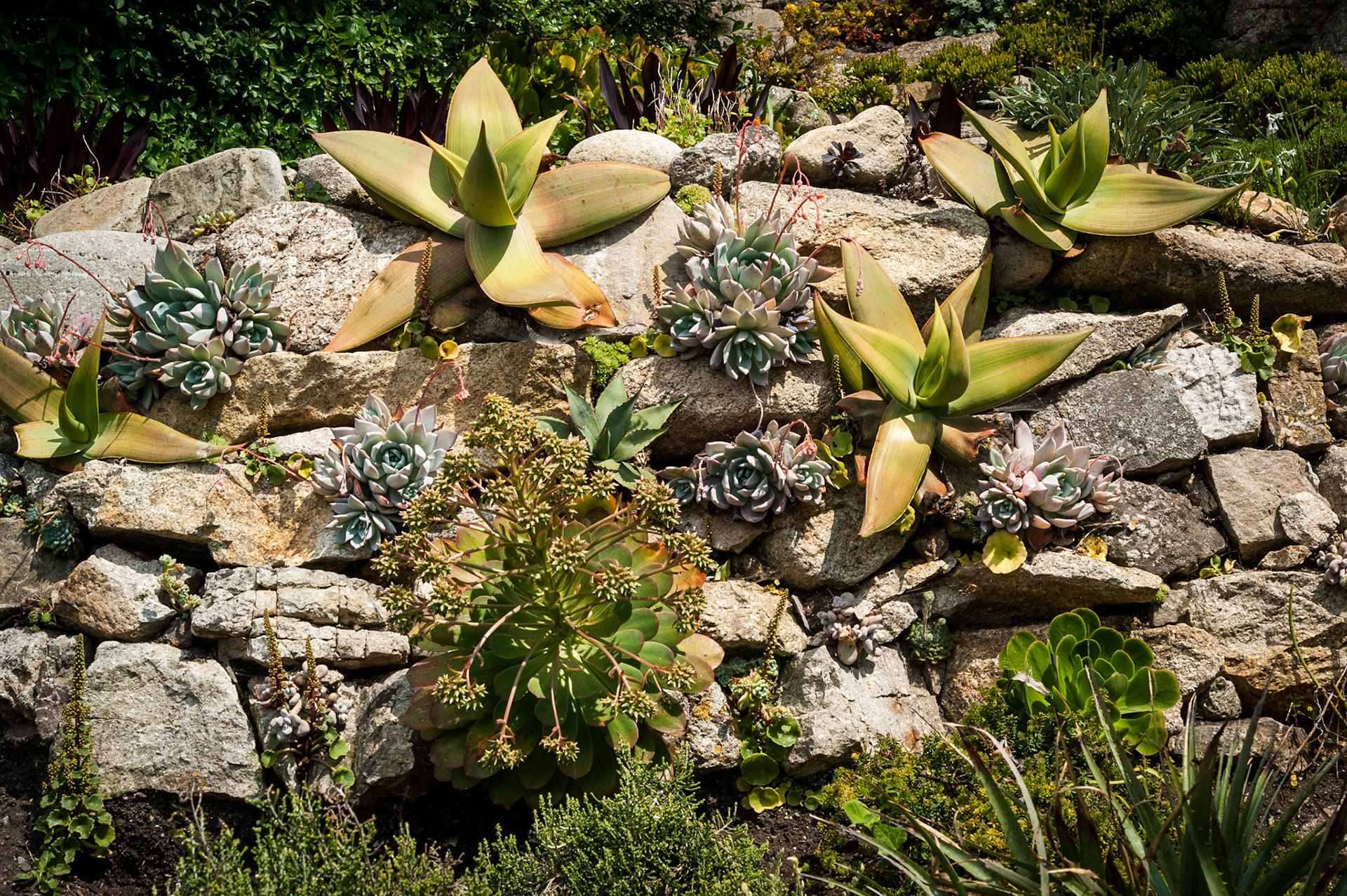 Bryher, Isles of Scilly