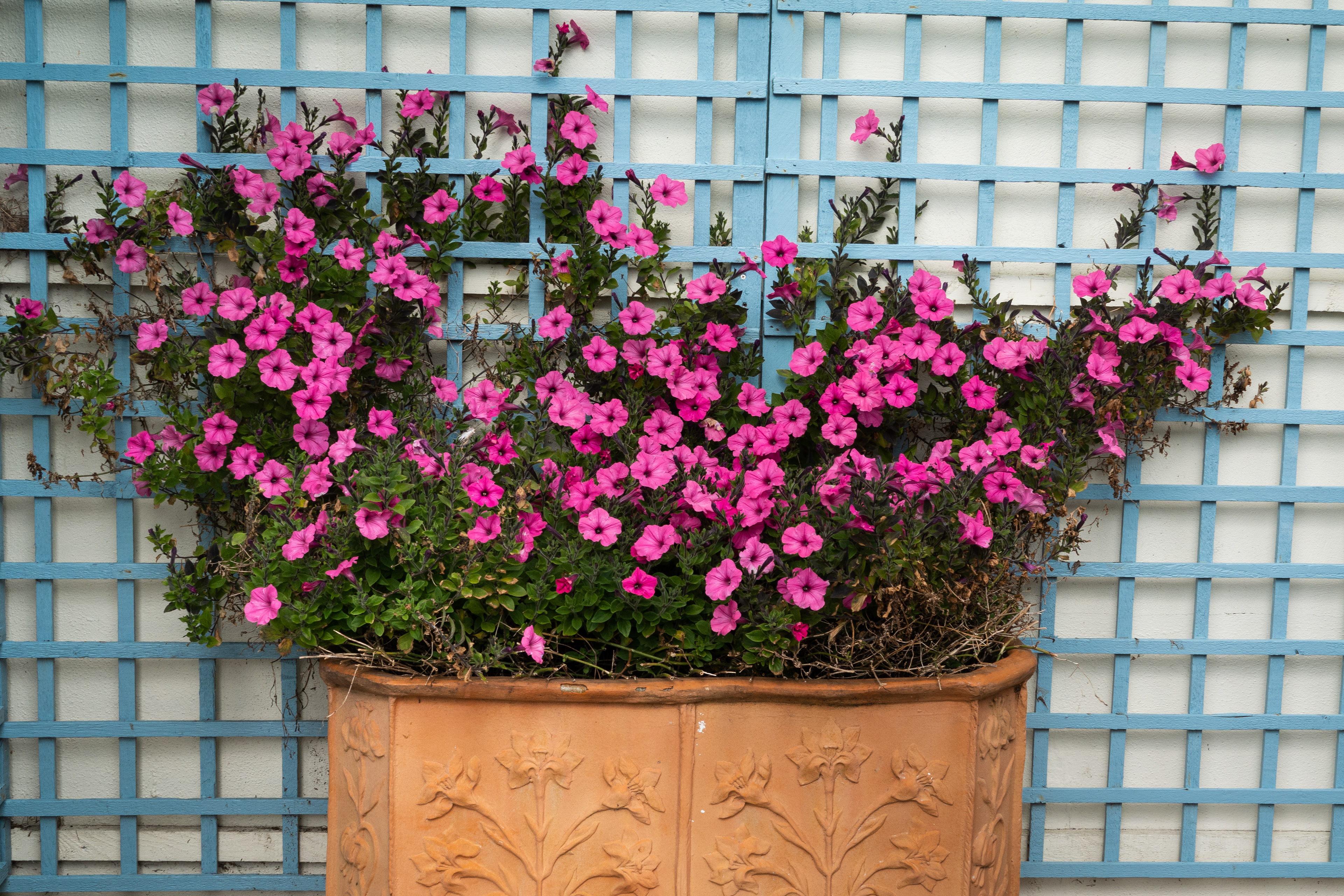 Hell's Bay Hotel, Bryher