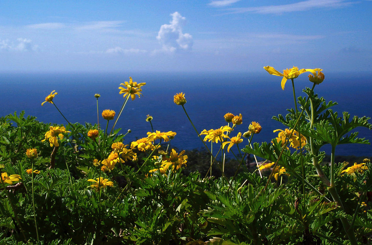 Corfu, Greece
