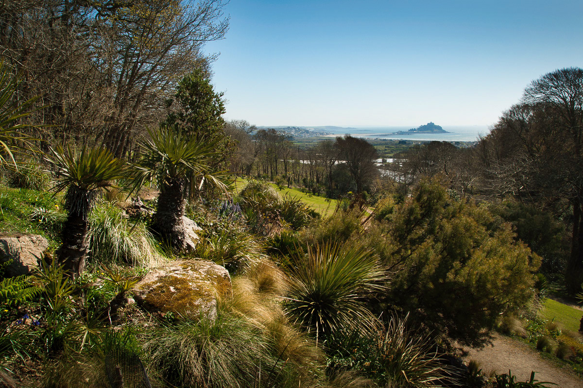 The Mount from Tremenheere Sculpture Gardens