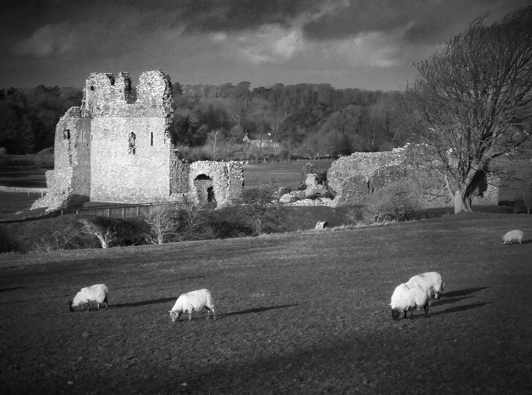 Jervaulx Abbey