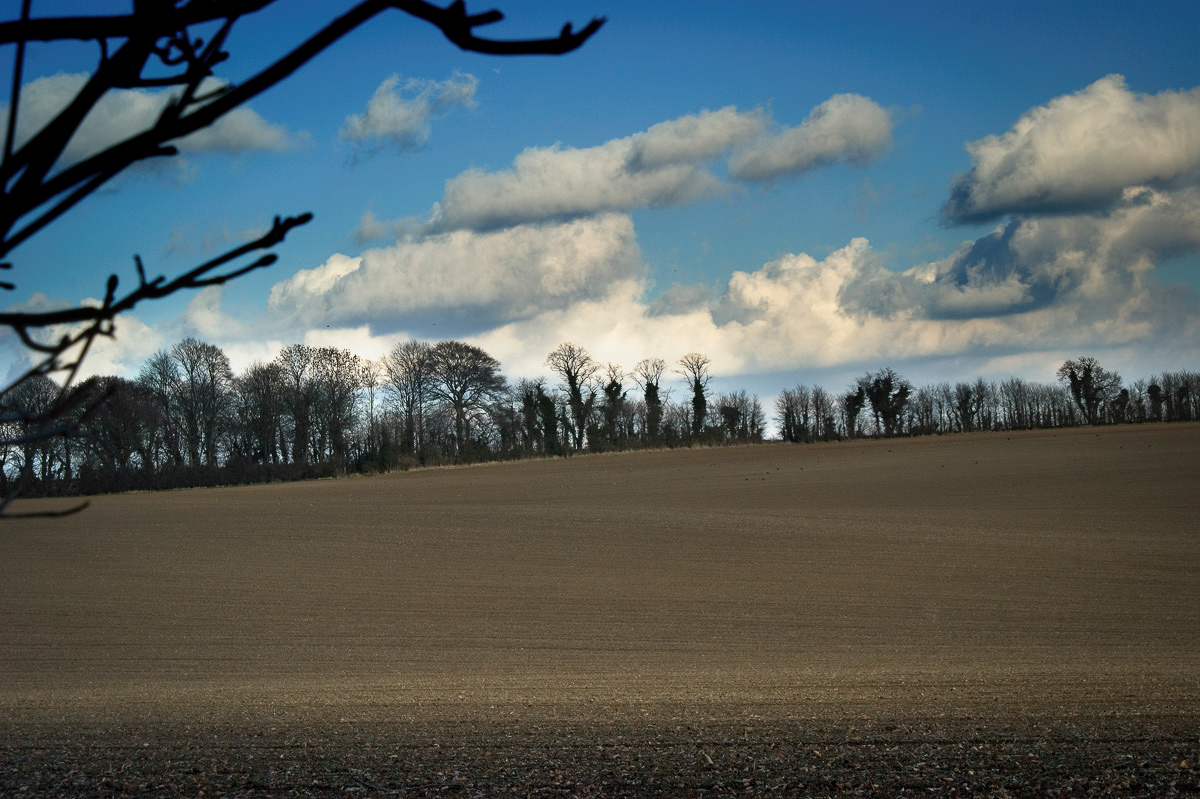 Near Ledsham, Yorkshire