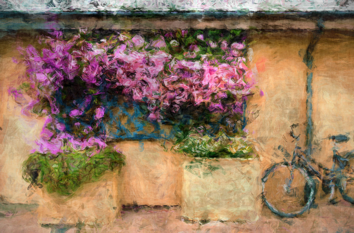 Tresco, Isles of Scilly