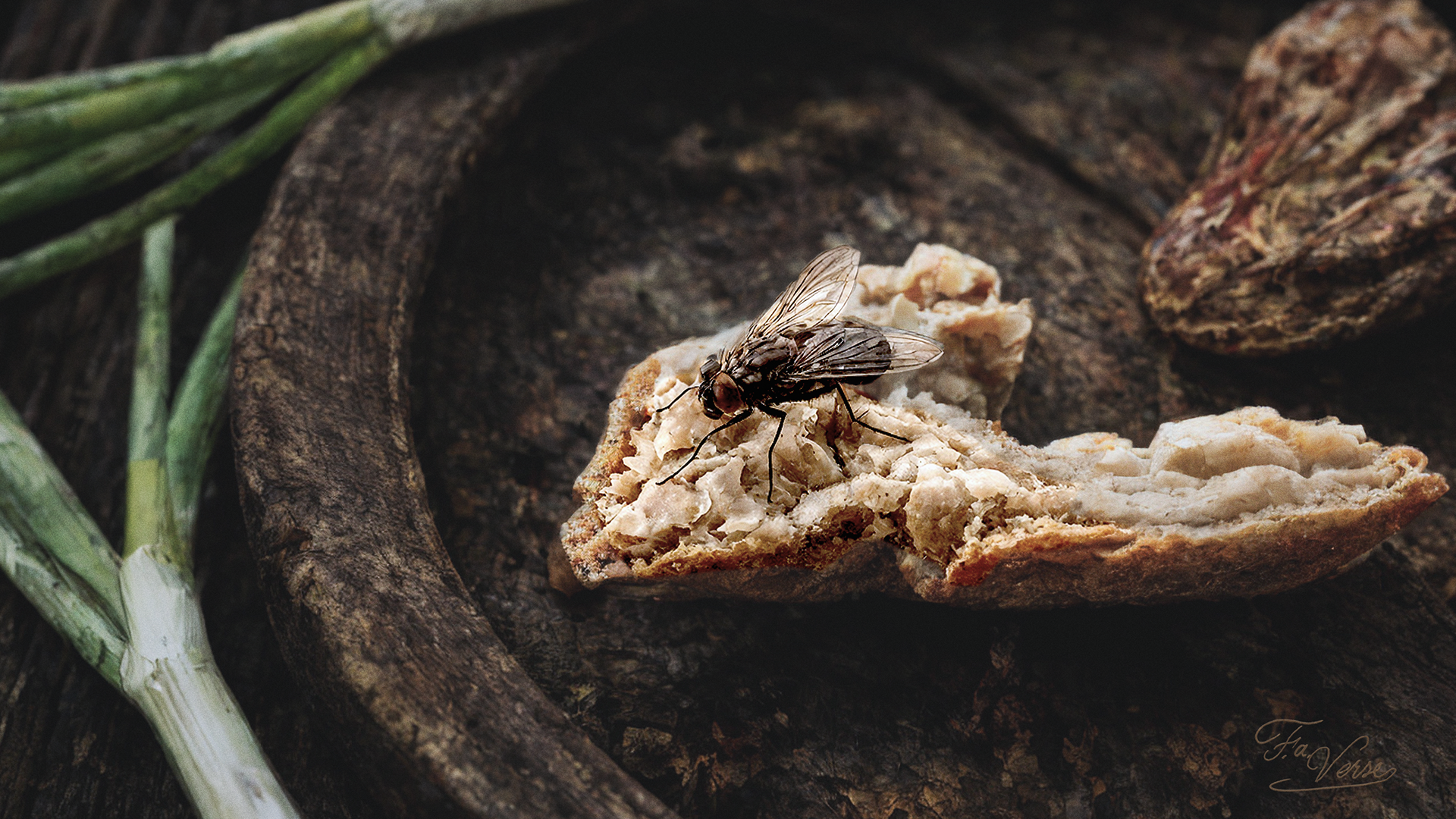 Christian memento mori image of a fly on broken bread, symbolizing decay and spiritual death, medieval setting