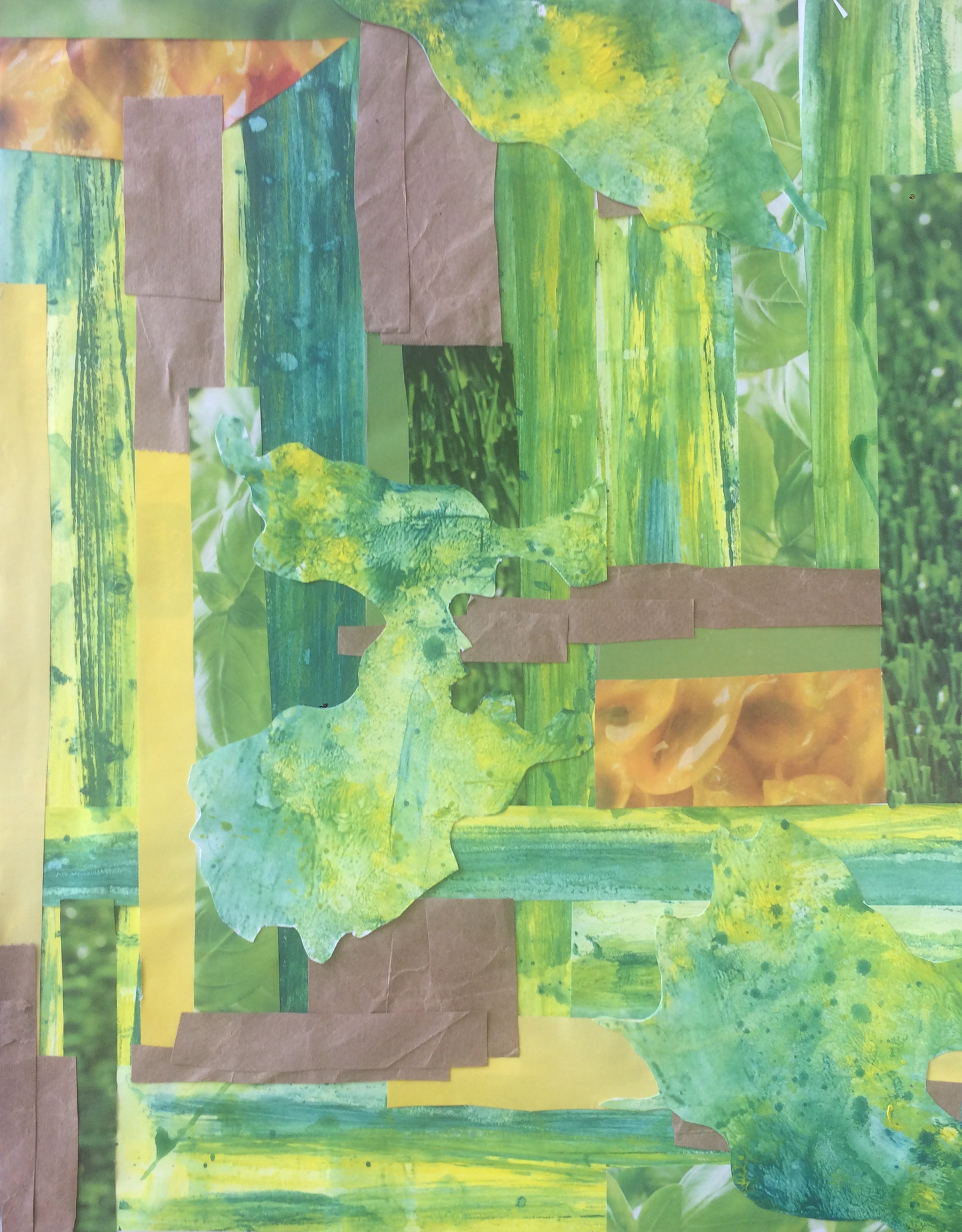 Color Study:Vegitation