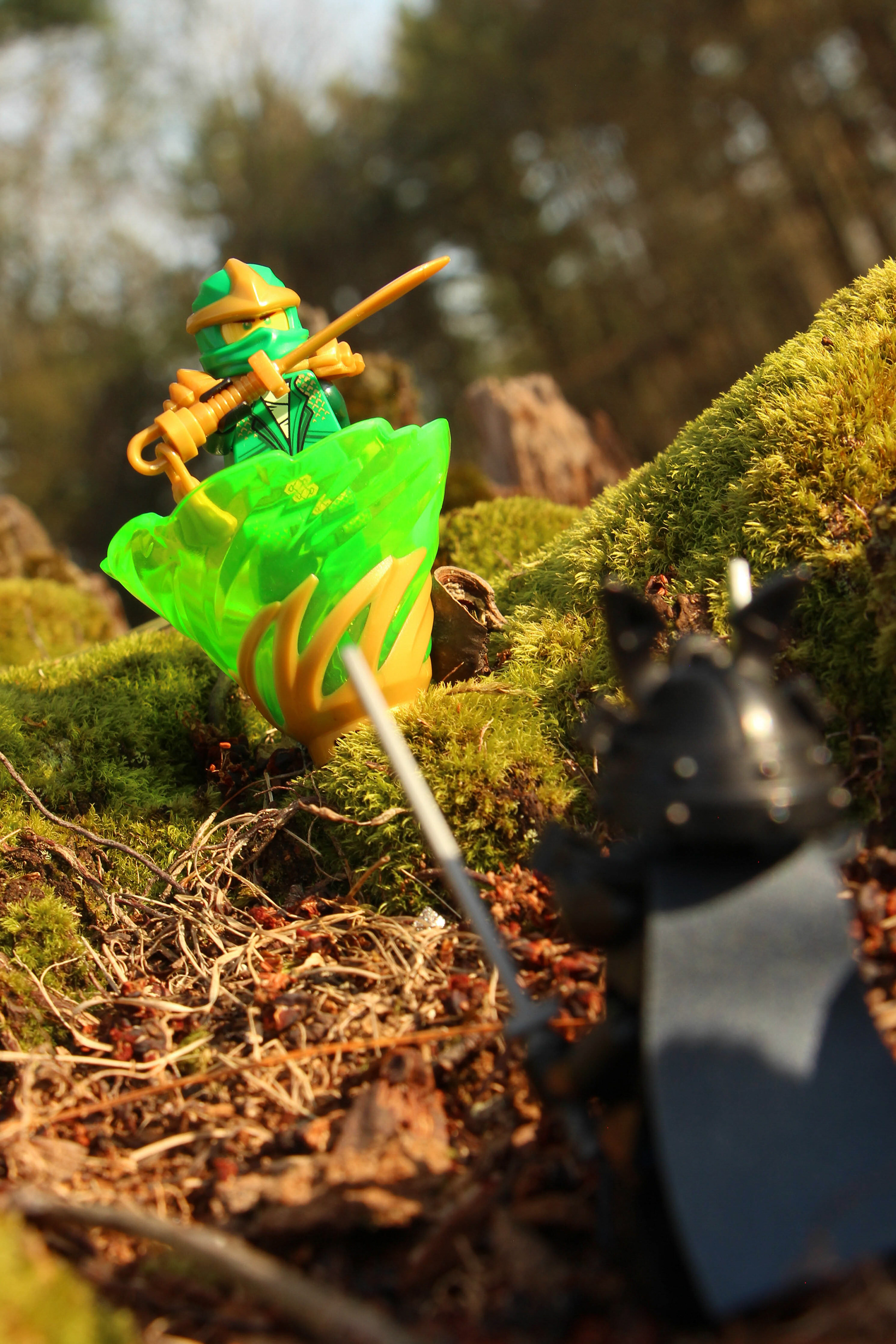 Part of my Digital Photo final.