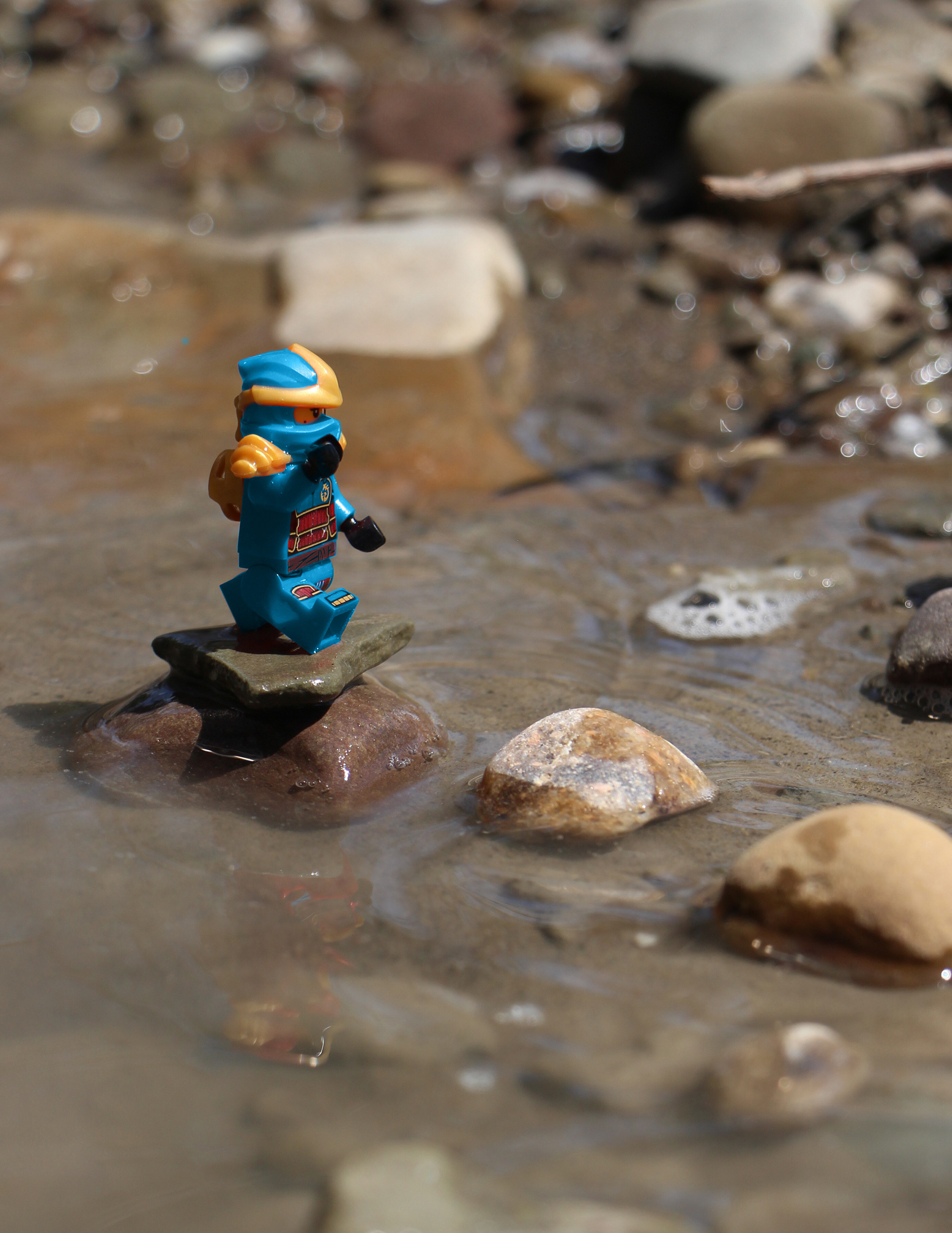 Part of my Digital Photo final.