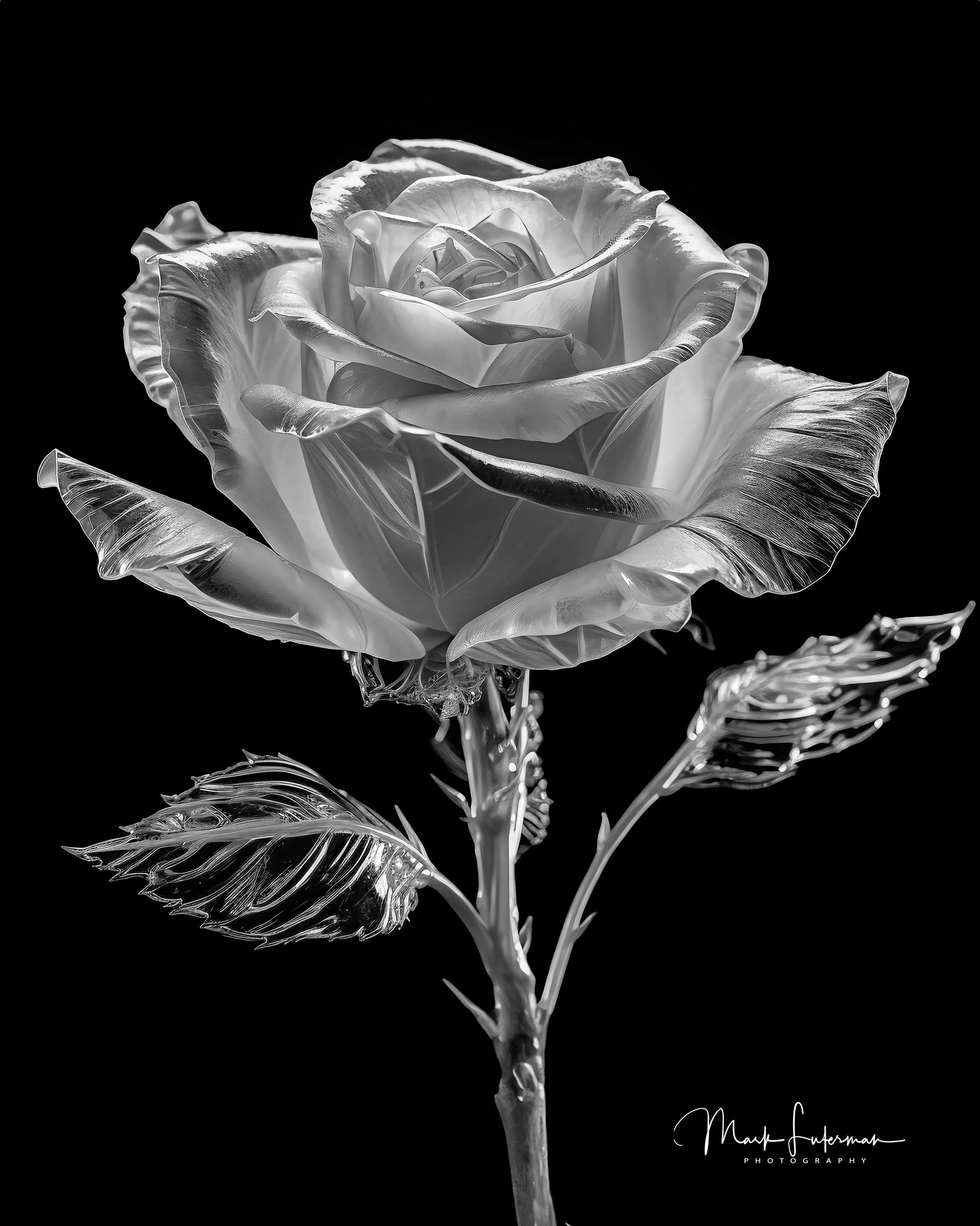 Glass Rose