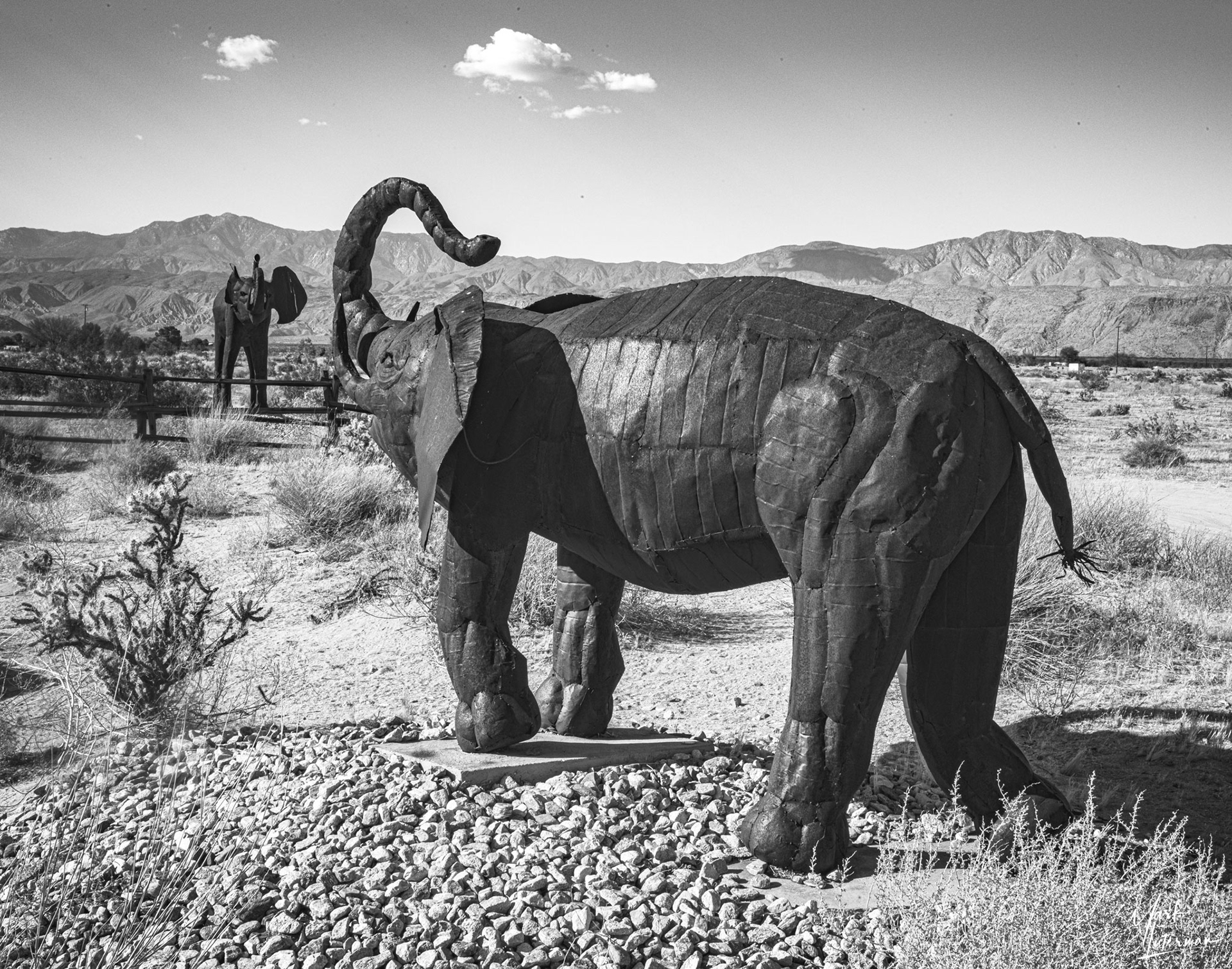 Borrego Springs 7