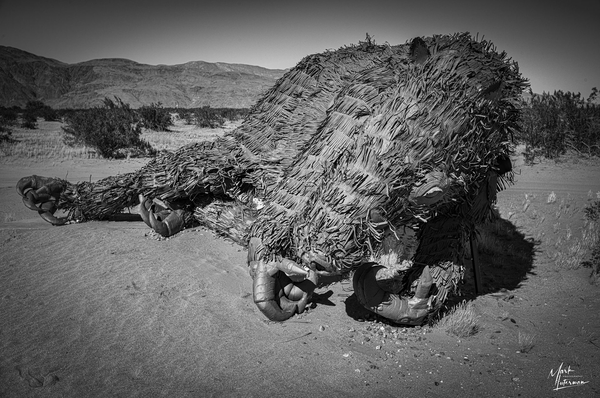 Borrego Springs 4