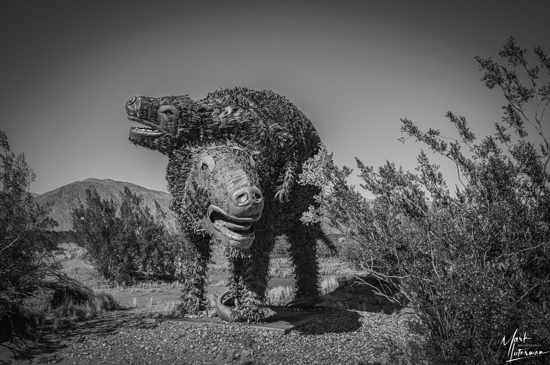Borrego Springs 3
