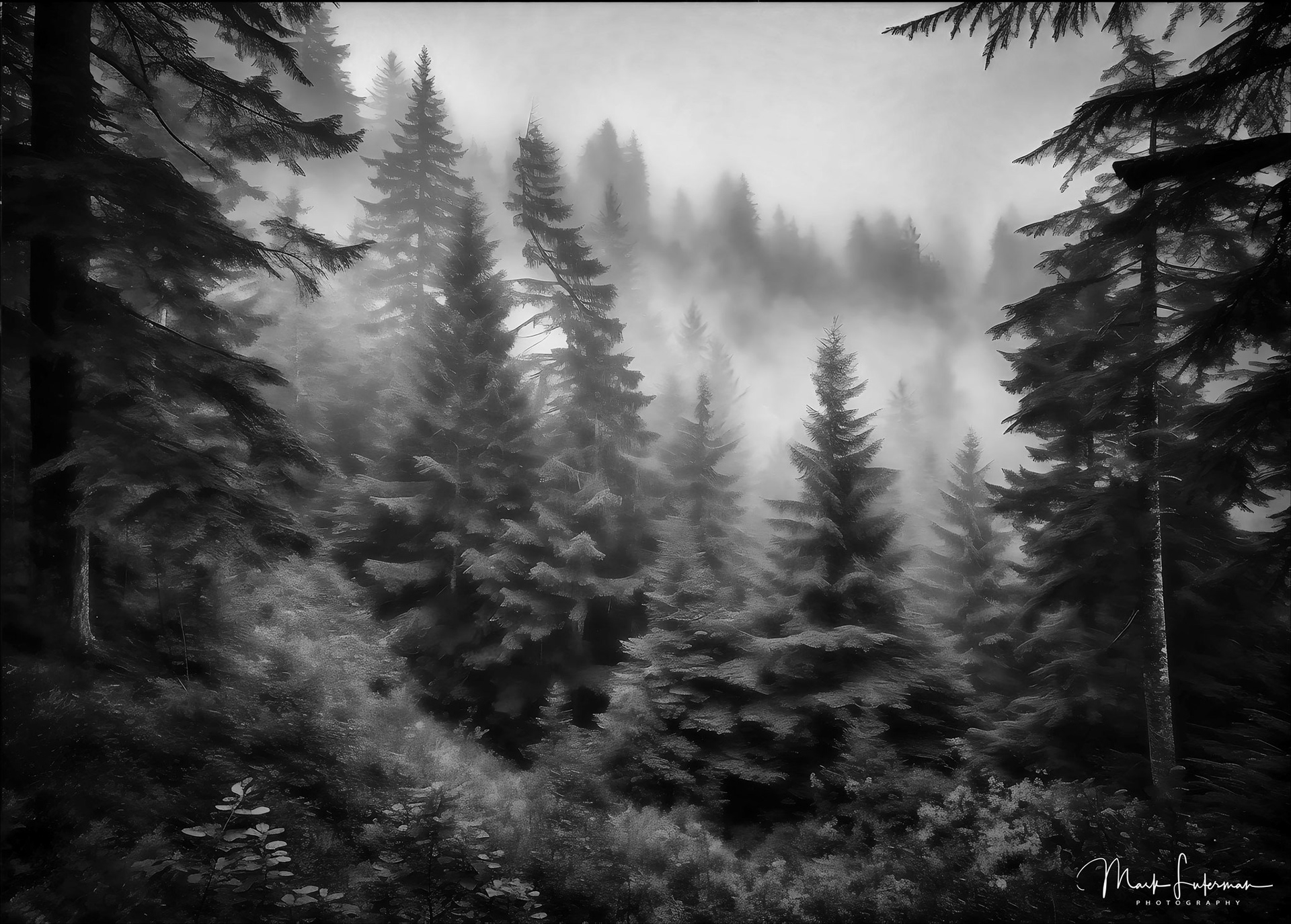Foggy hills