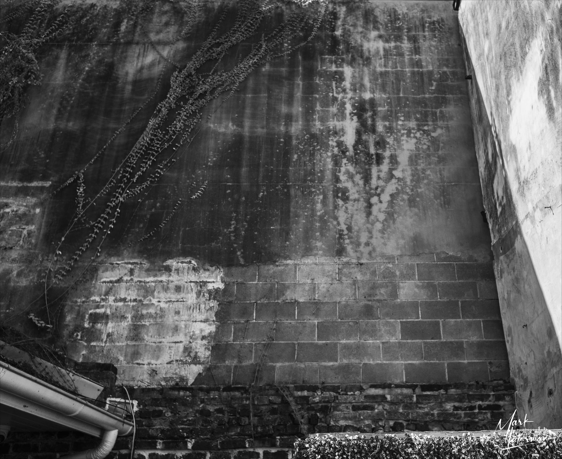 Wall Detail
