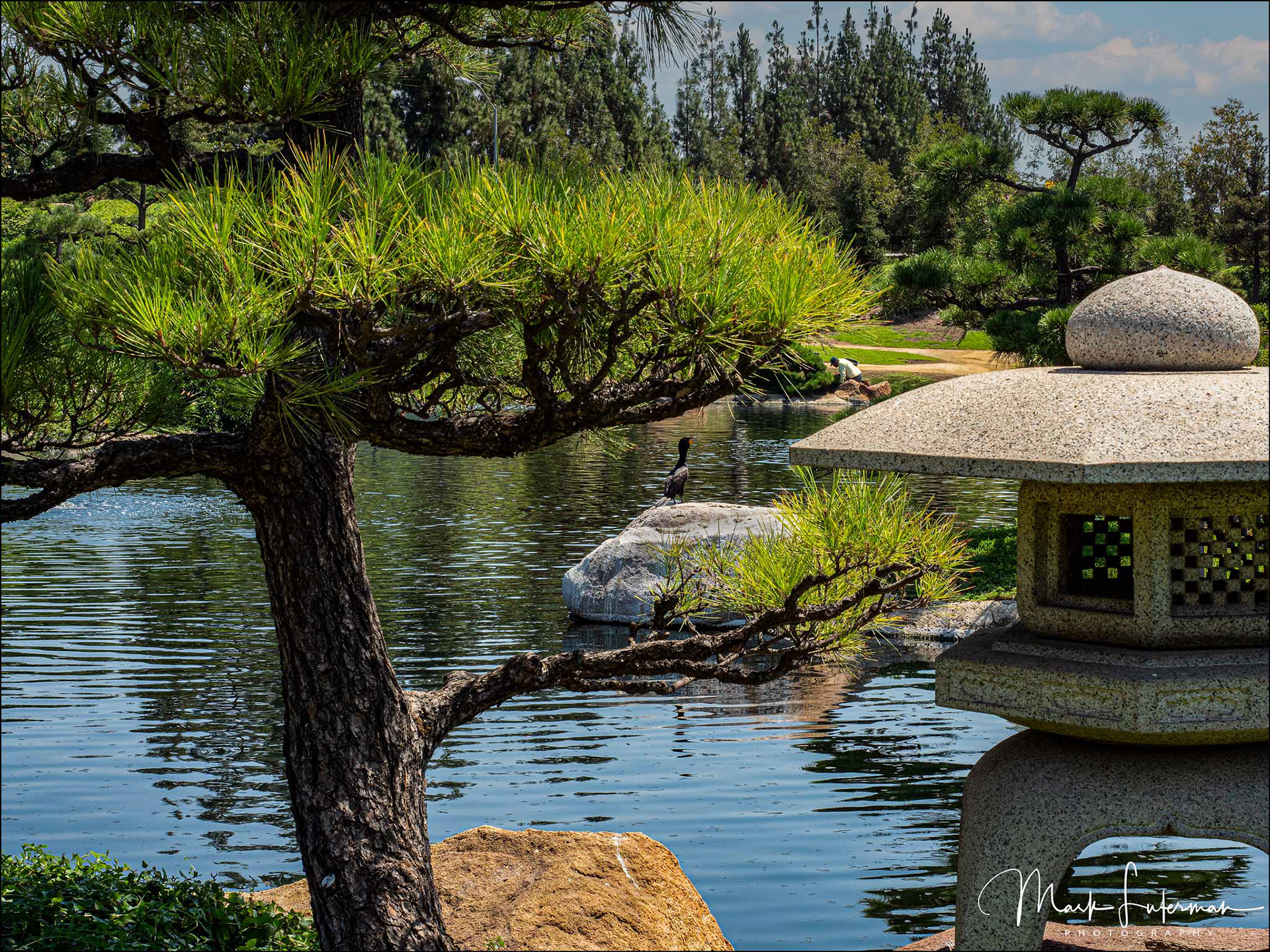 Japanese Gardens 2