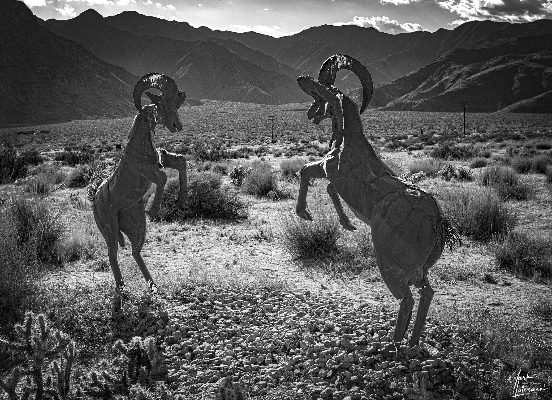 Borrego Springs 9