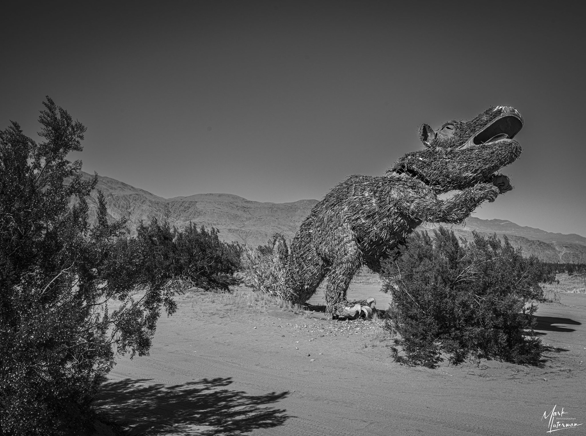 Borrego Springs 2