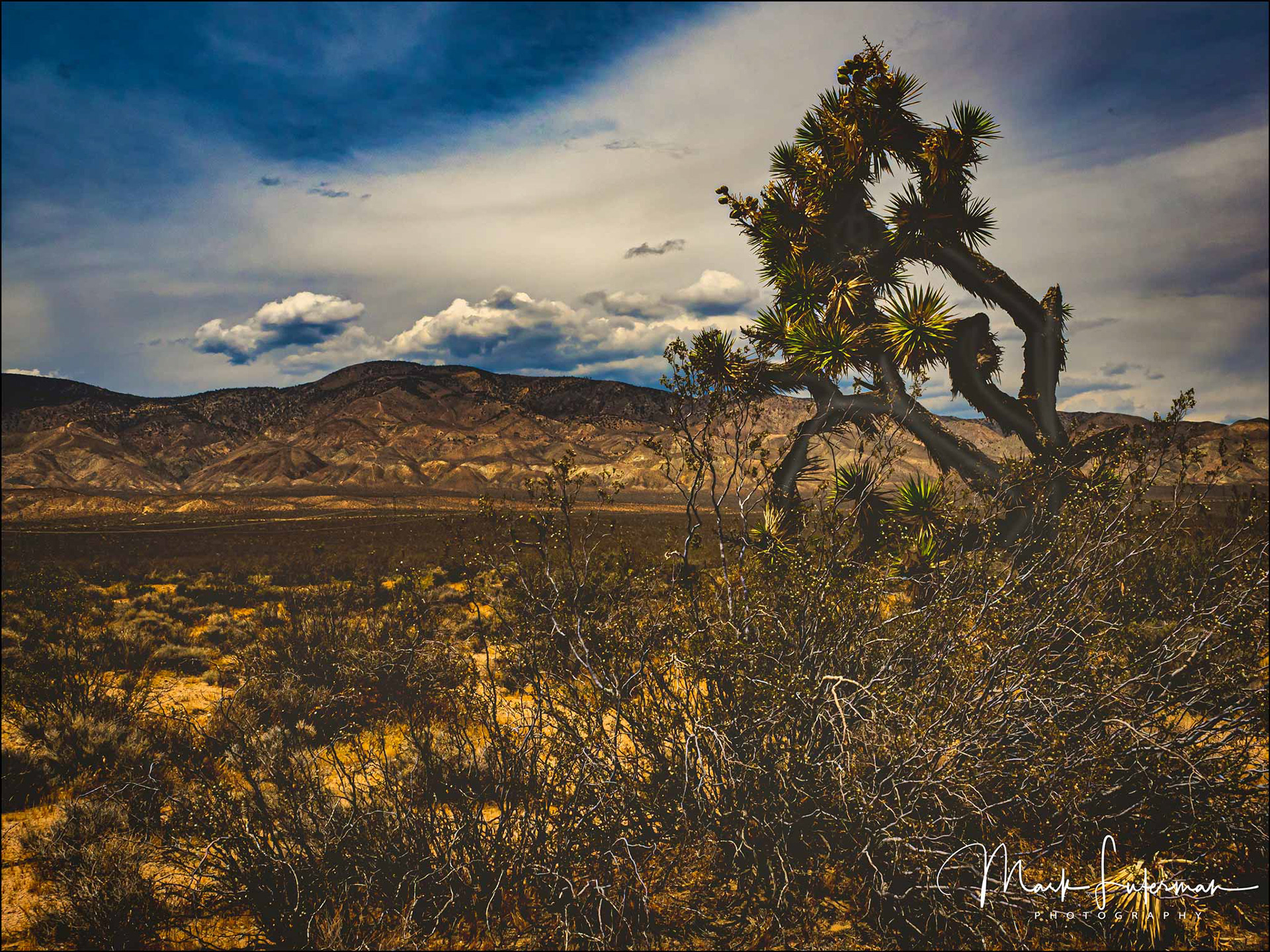 Antelope Valley