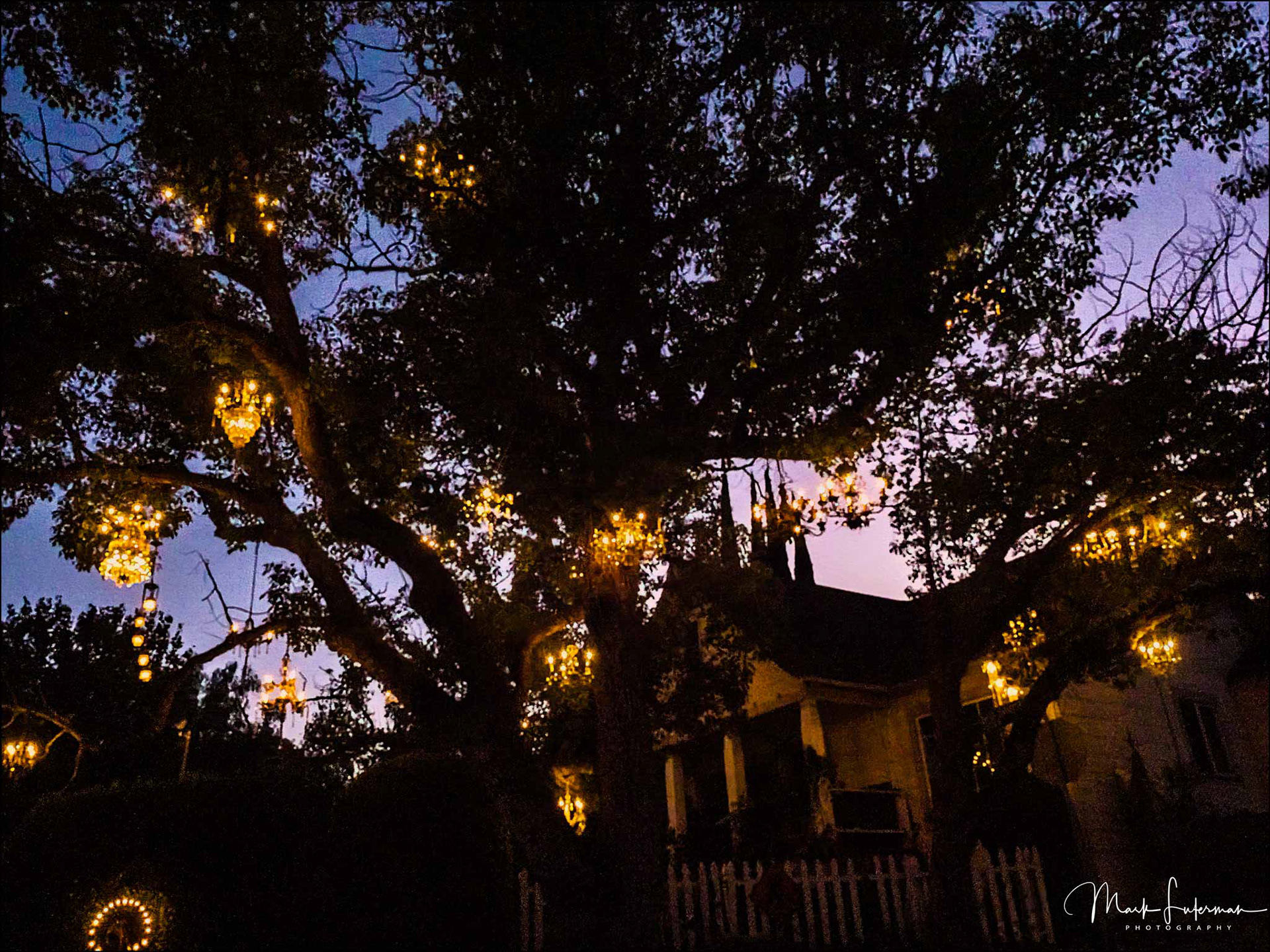 Chandelier Tree