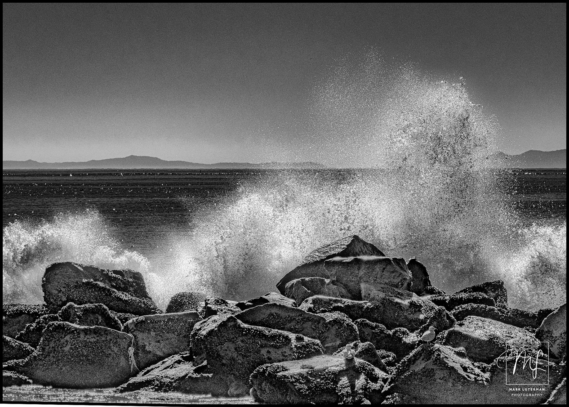 Venice Beach Waves