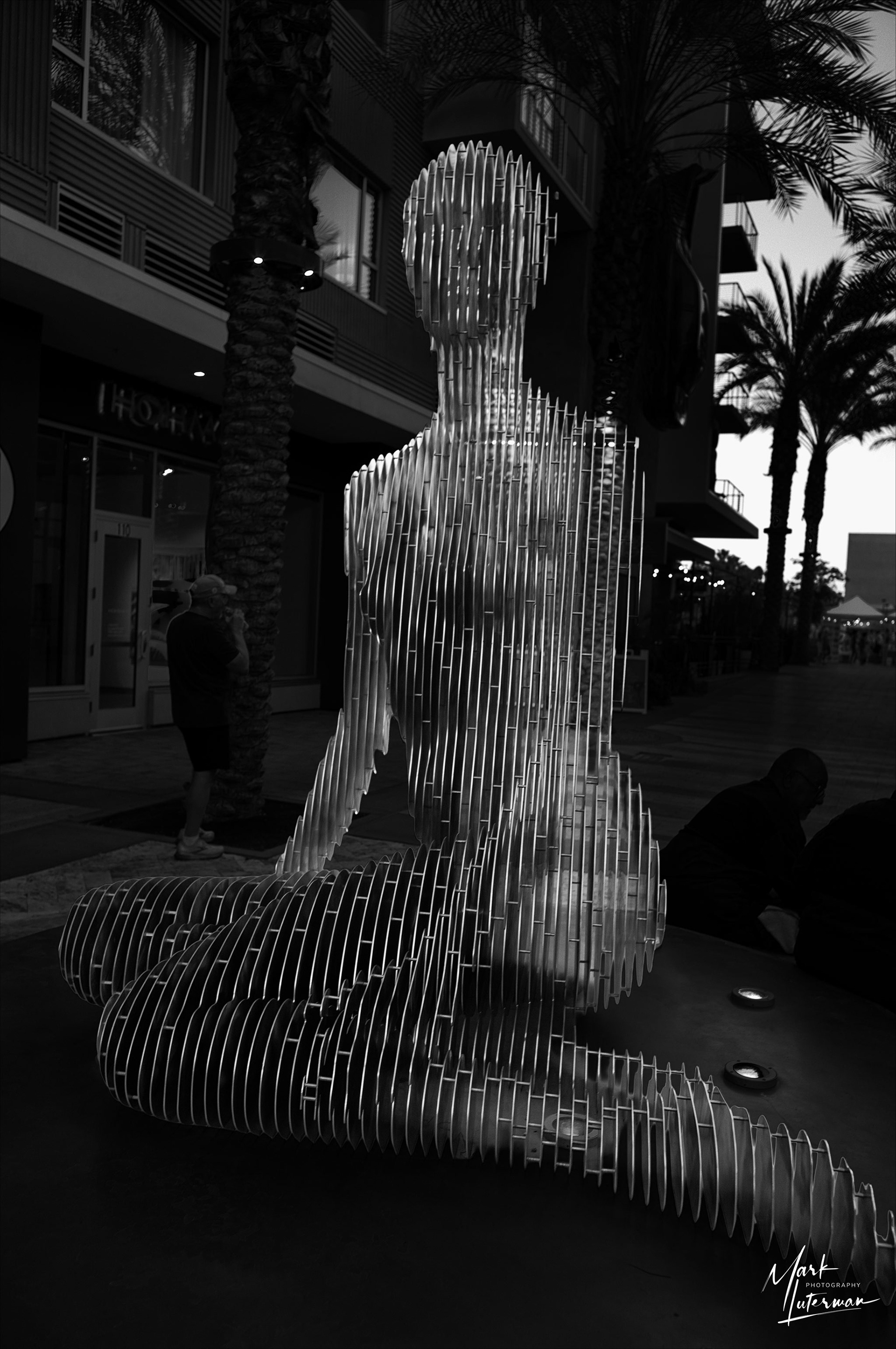 Il Dorso art