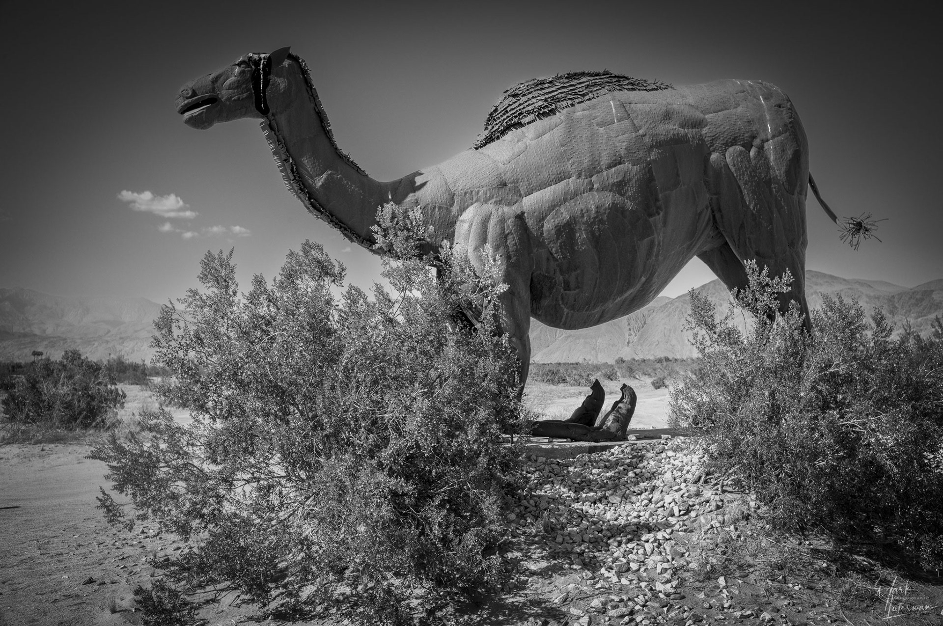 Borrego Springs 1