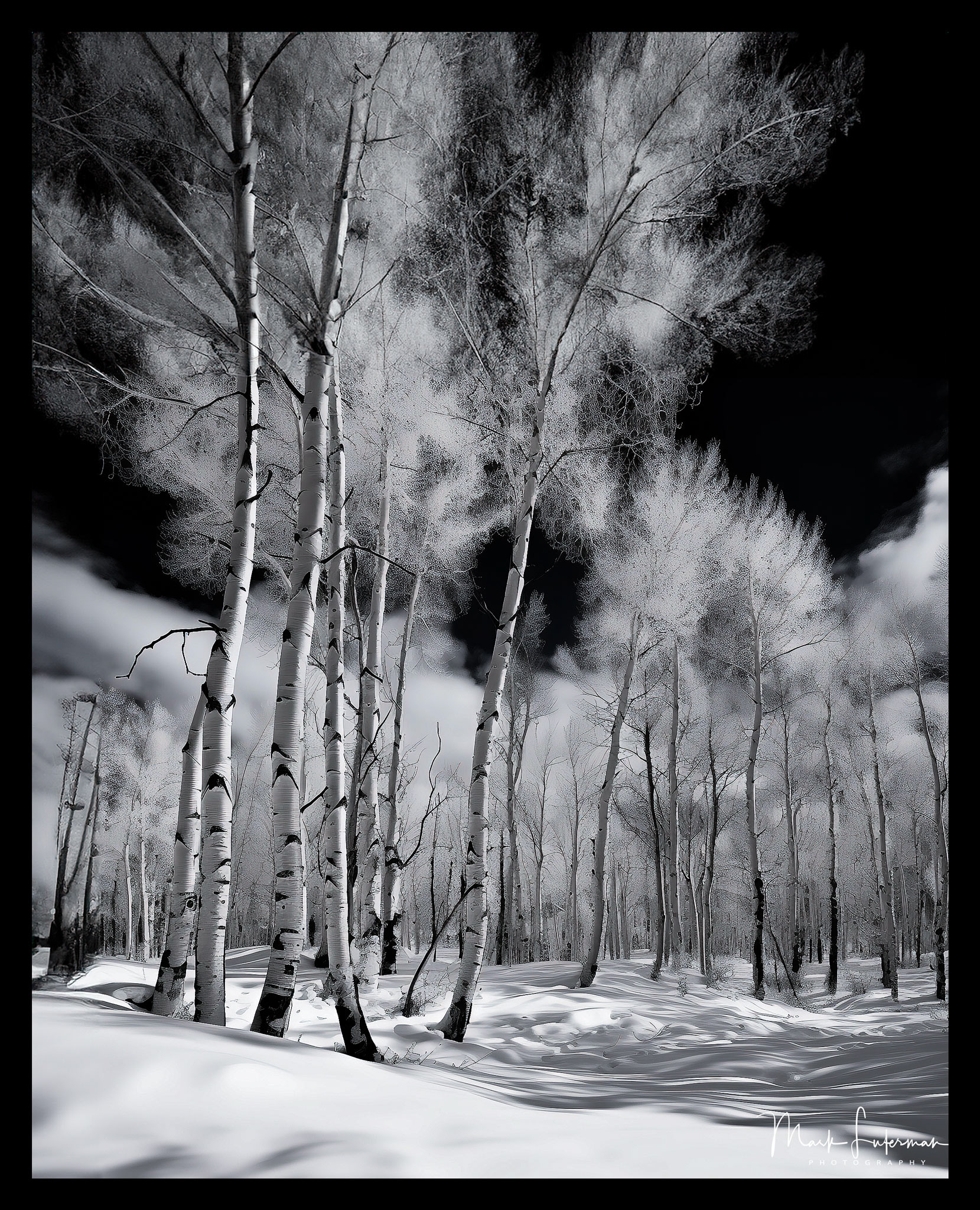 Trees