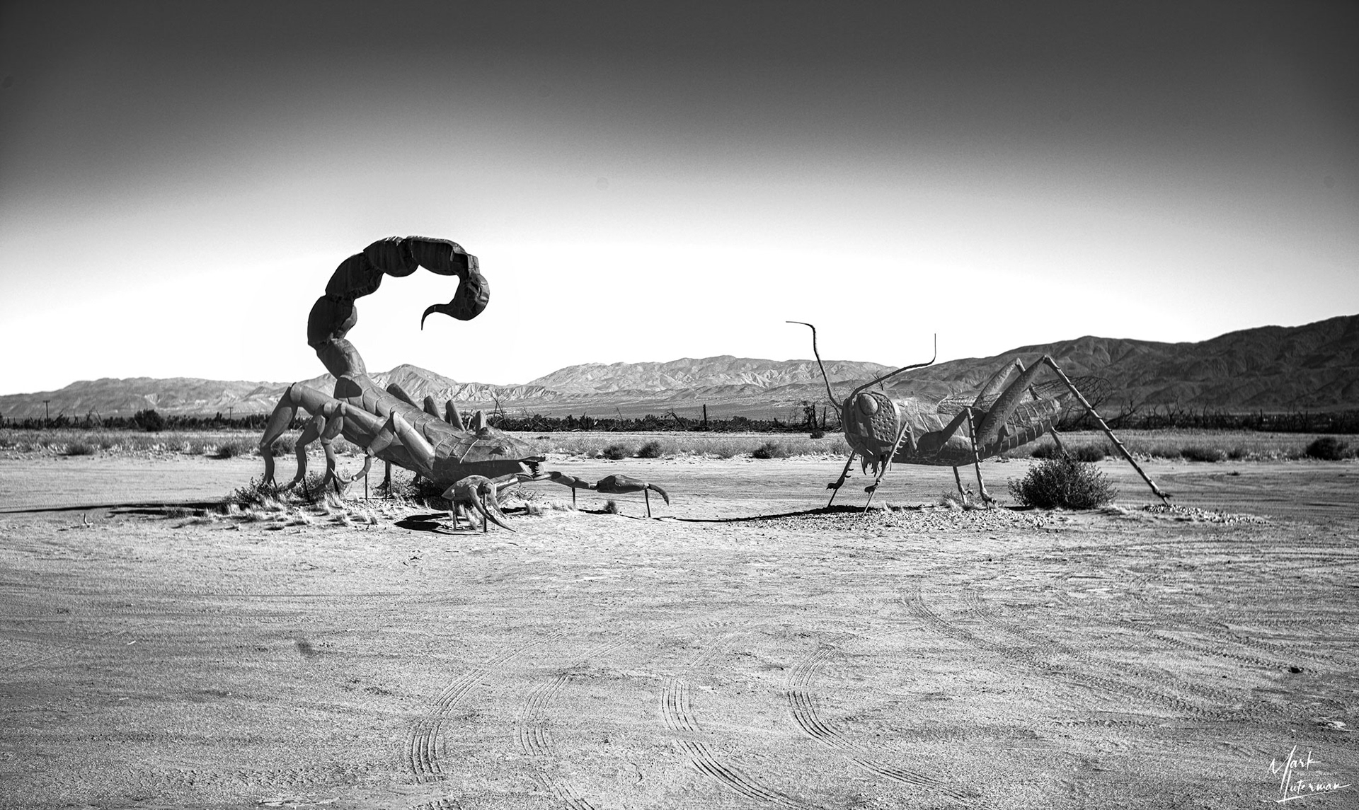 Borrego Springs 6