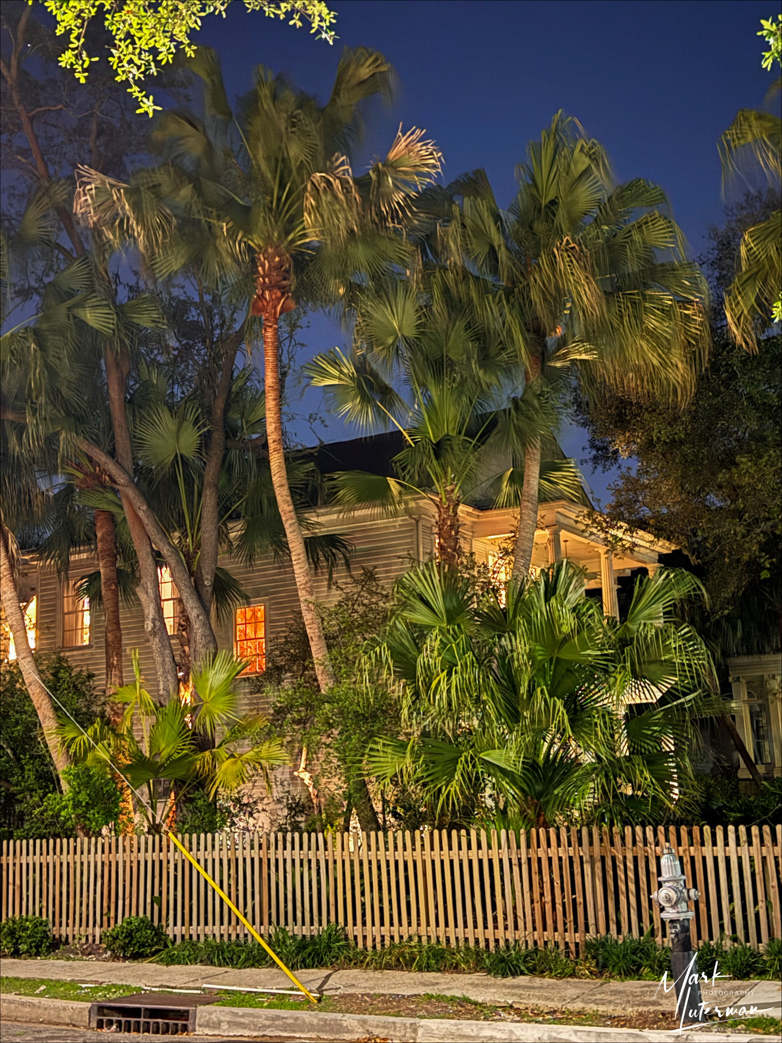 Night at a Garden District House