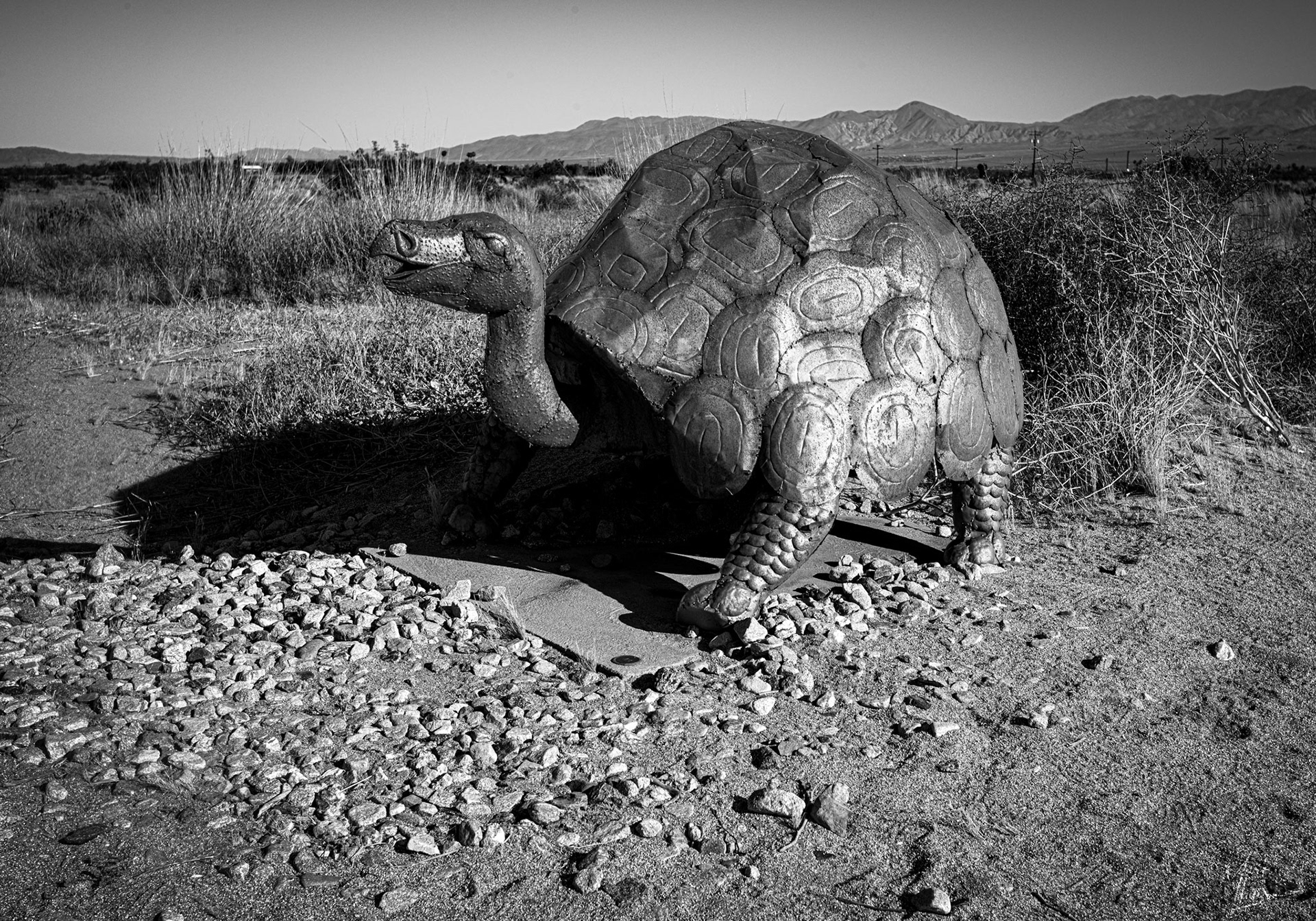 Borrego Springs 10