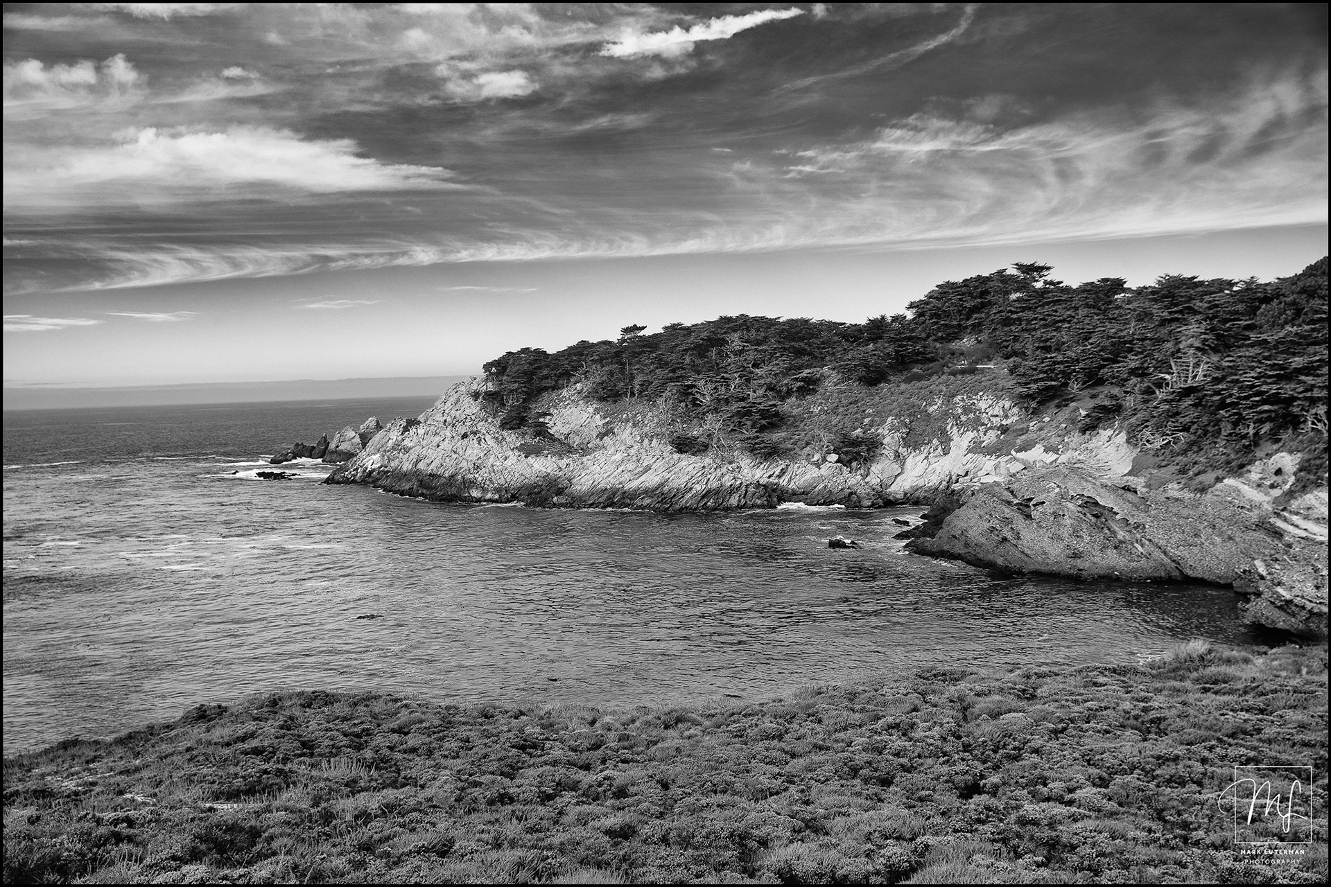 Point Lobos