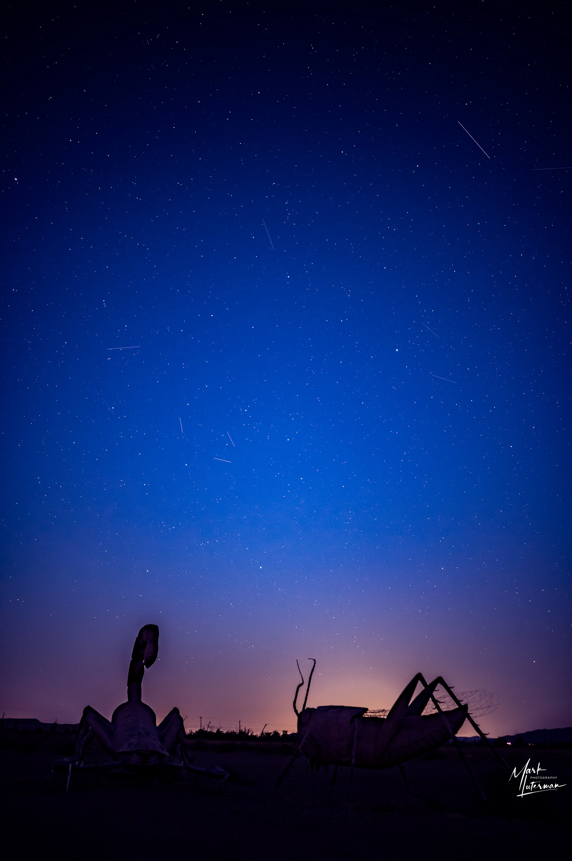 Stars