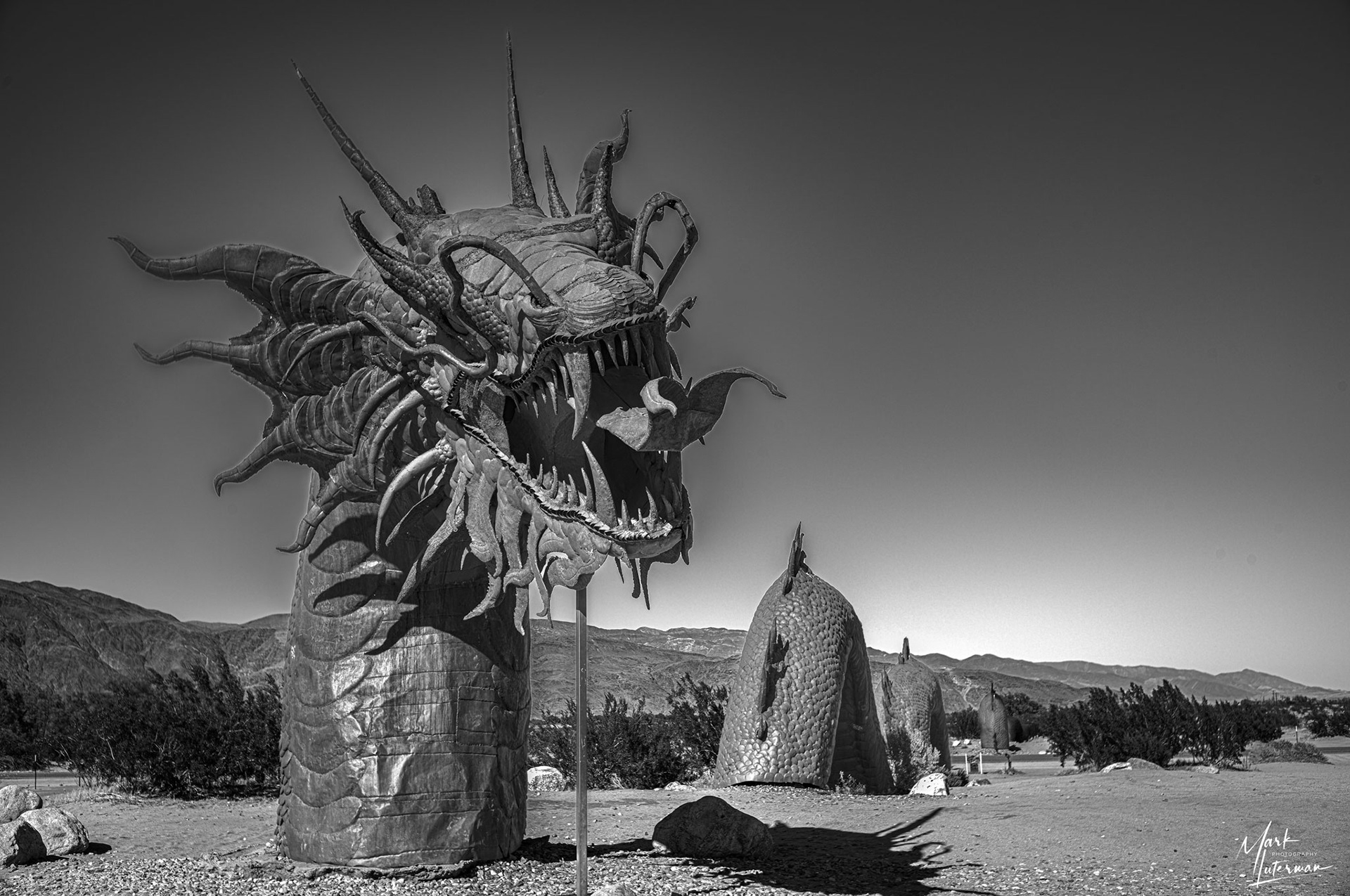 Borrego Springs 5