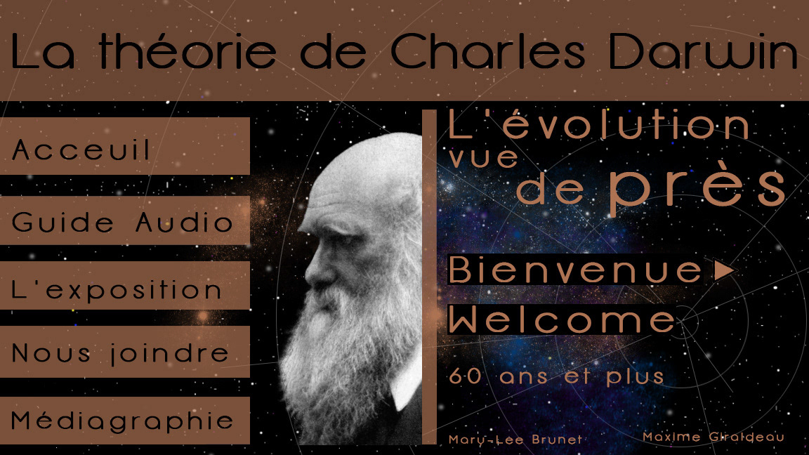 Sketches of a future final PowerPoint project about Charles Darwin's evolution theory
