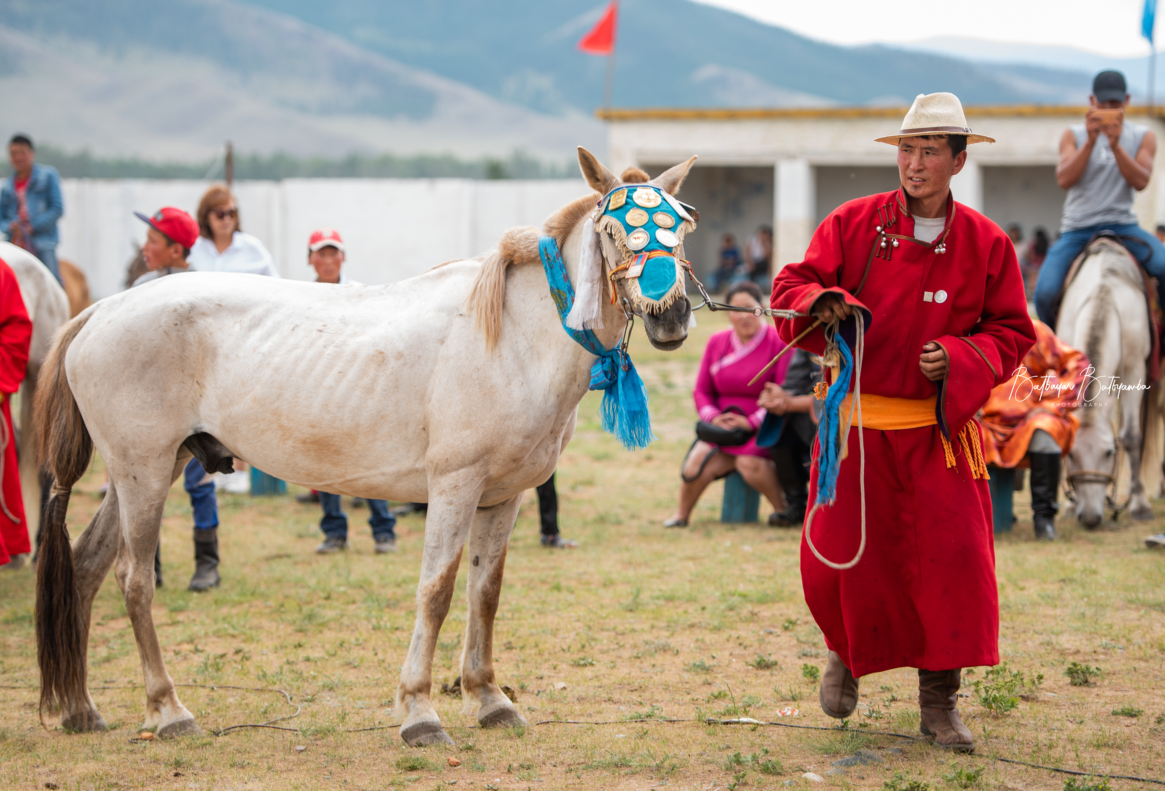 Champion horse, Ikh Tamir Village