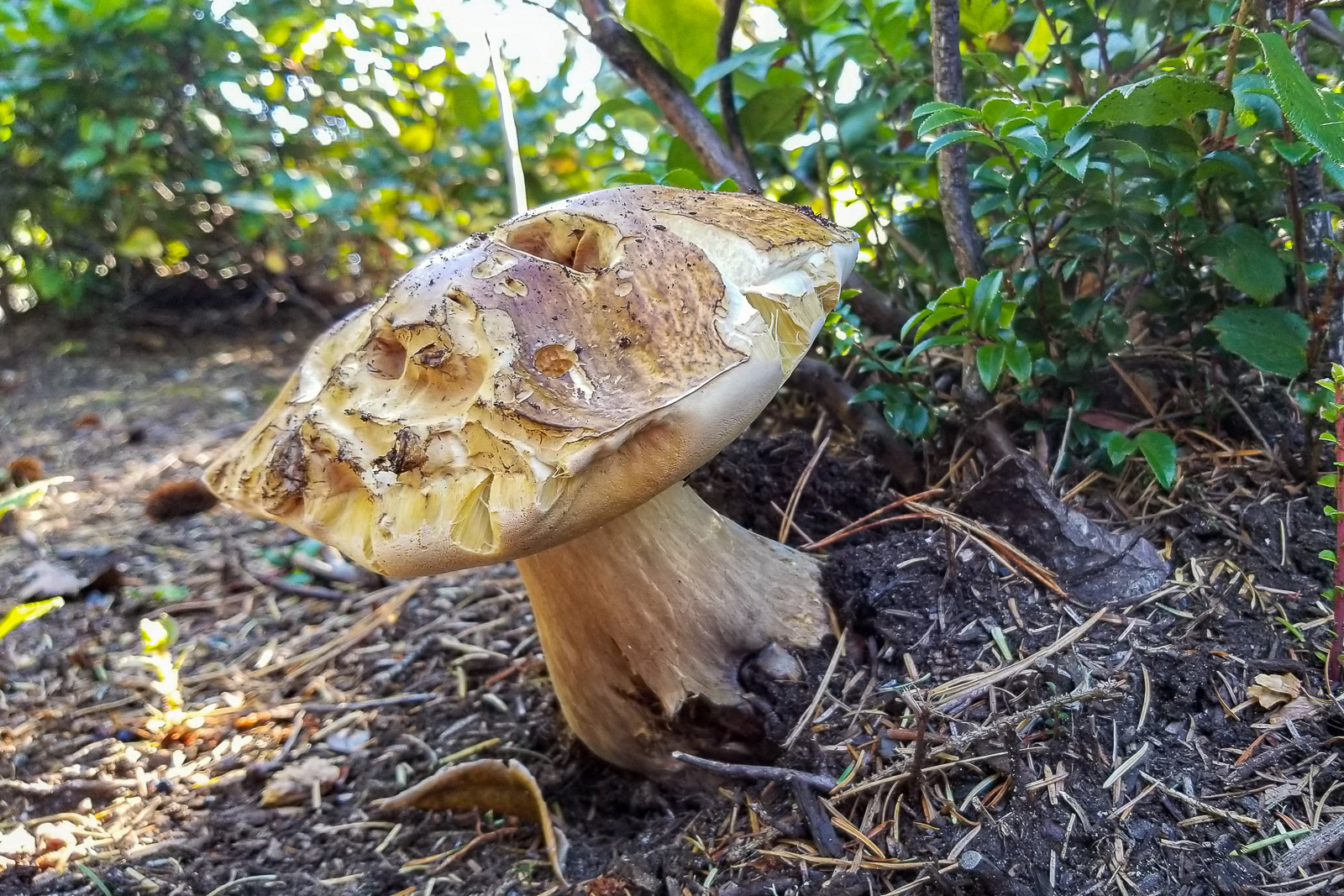 20181017_134554