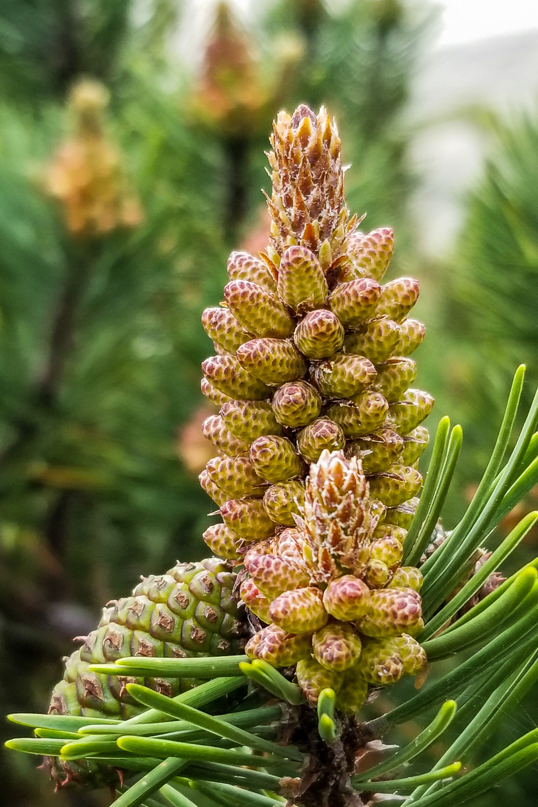 20190516_174358