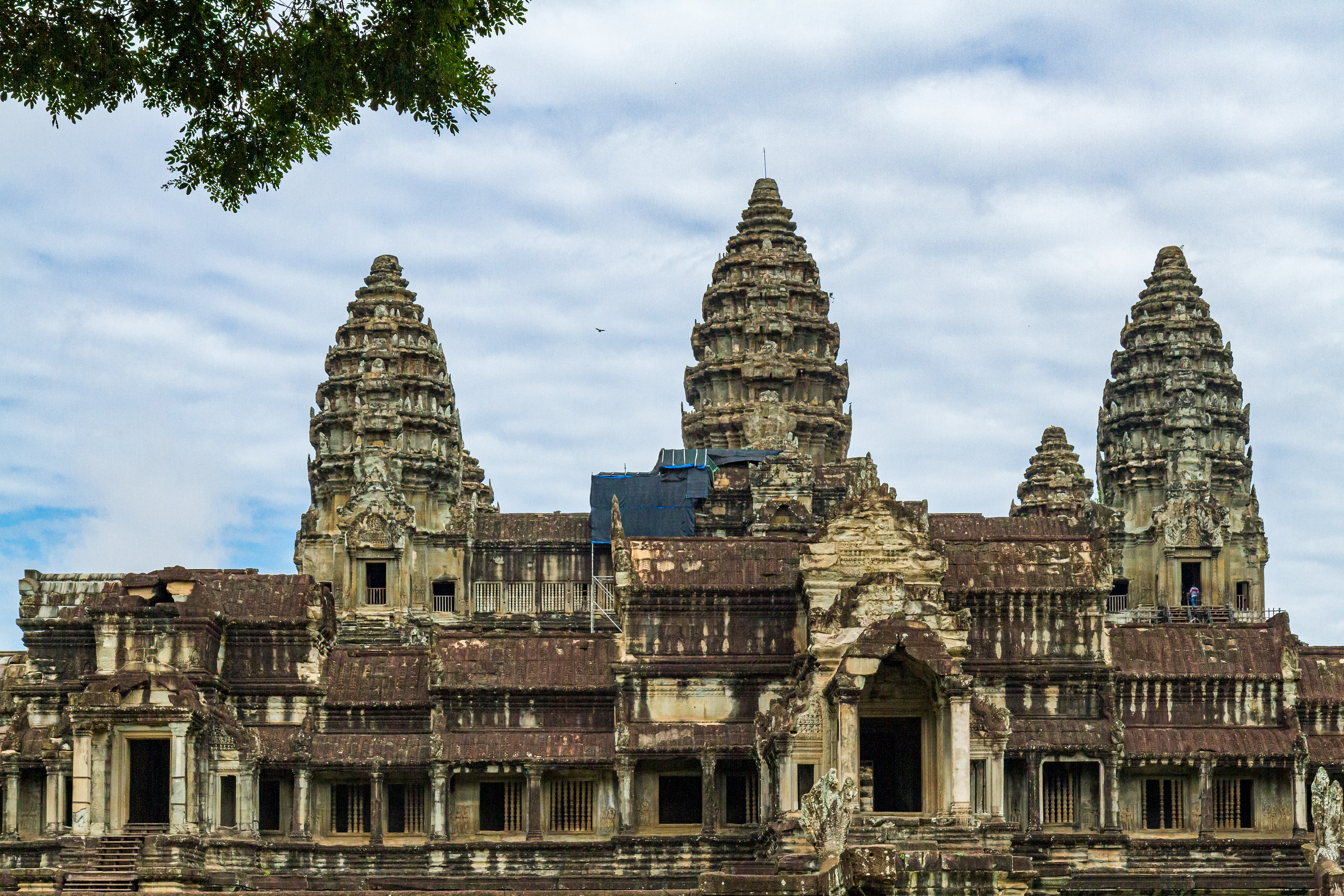 _MG_0310