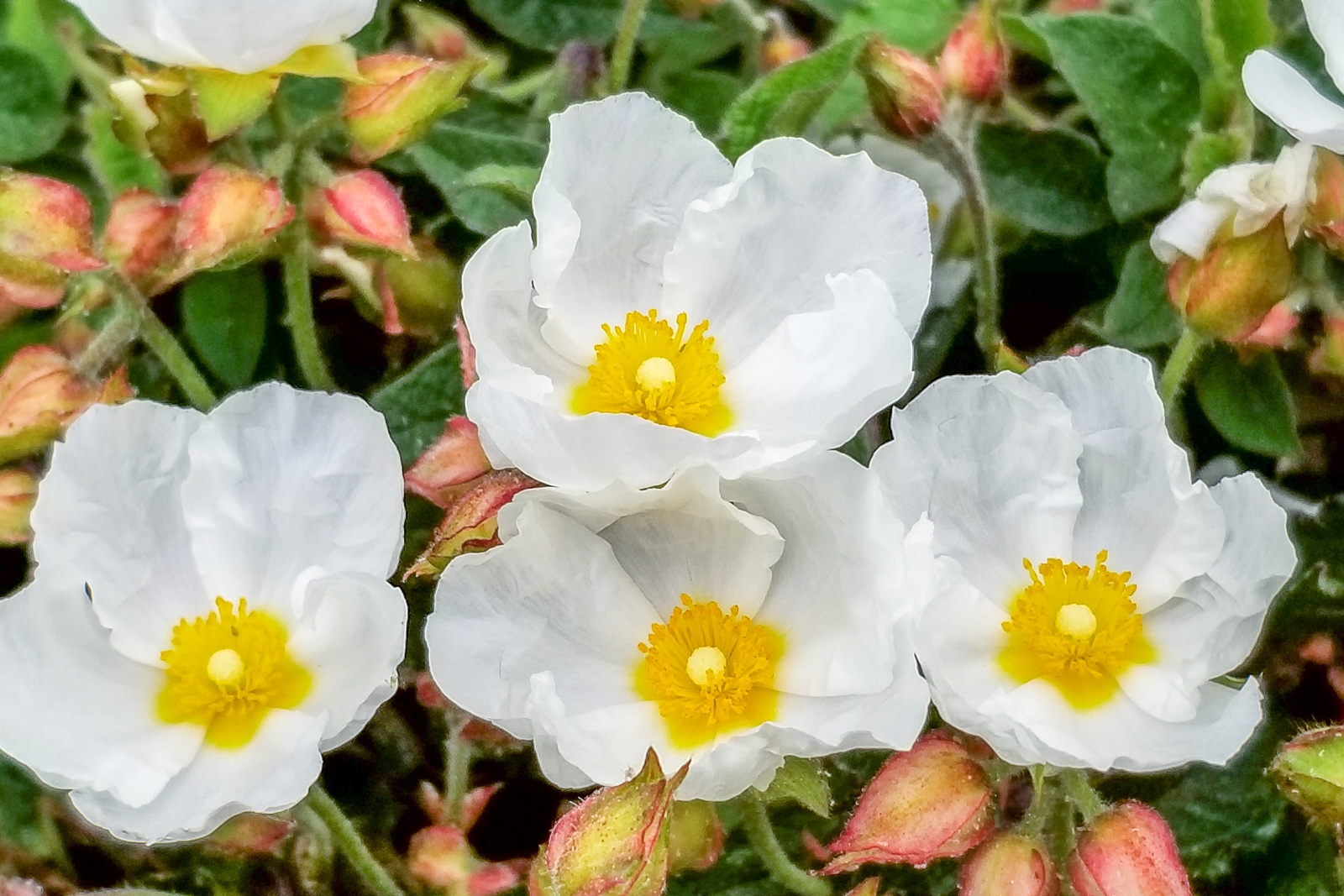 20190511_140537