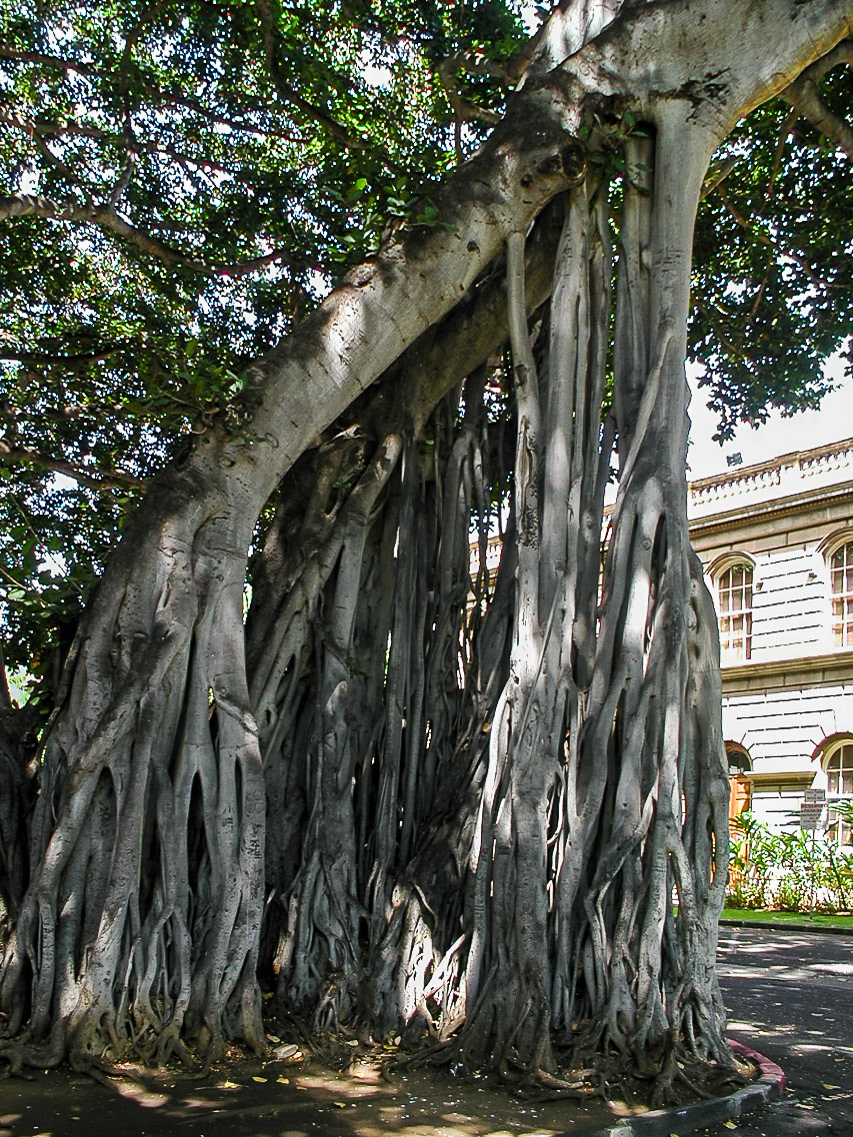 P5030340