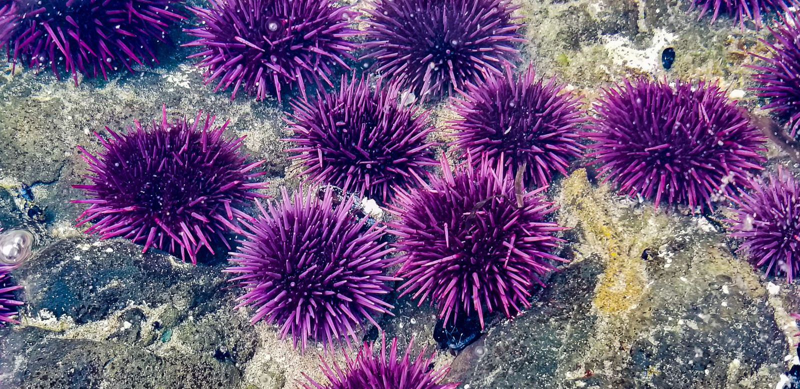 20190716_180844