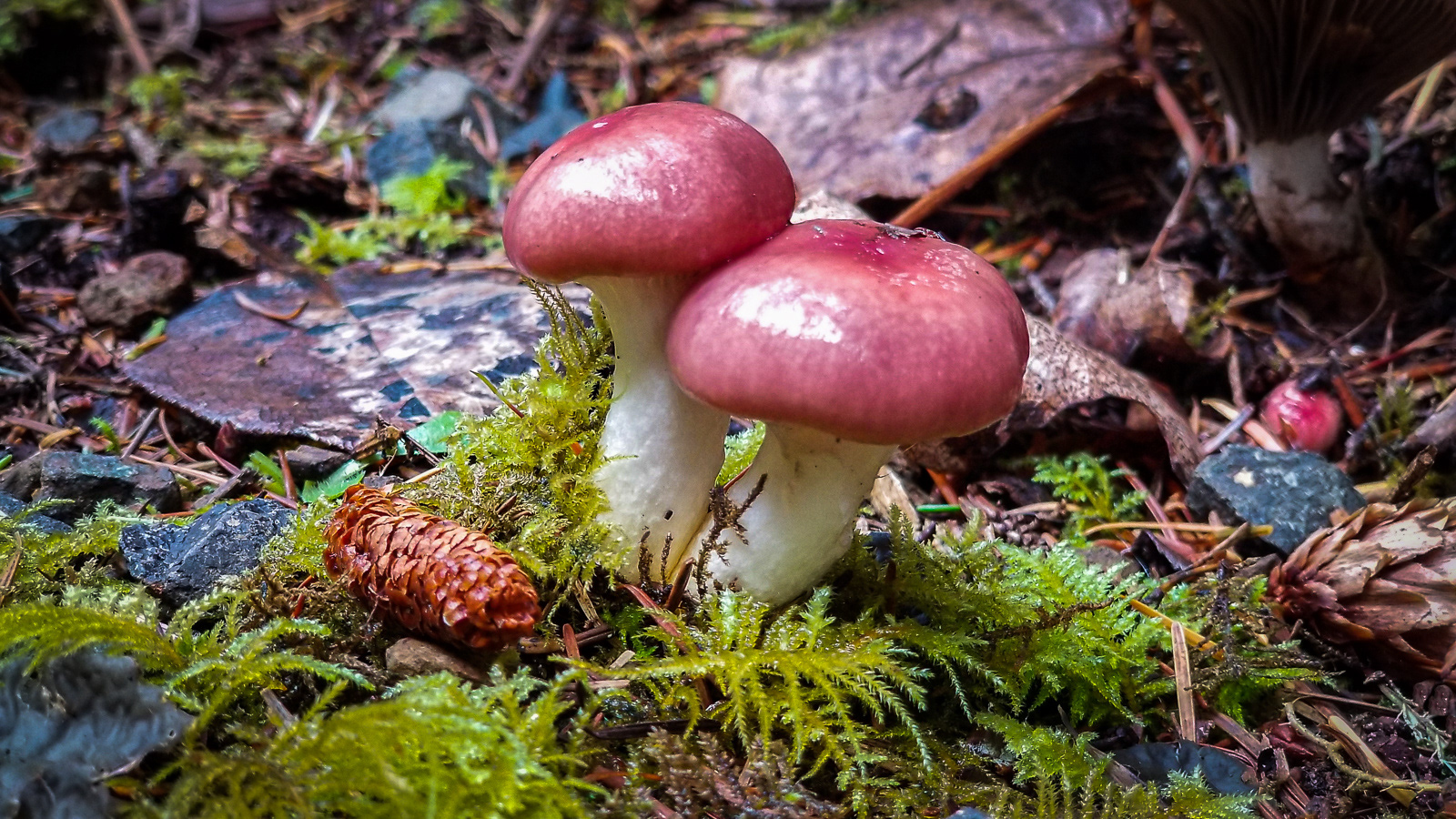 20181003_163144