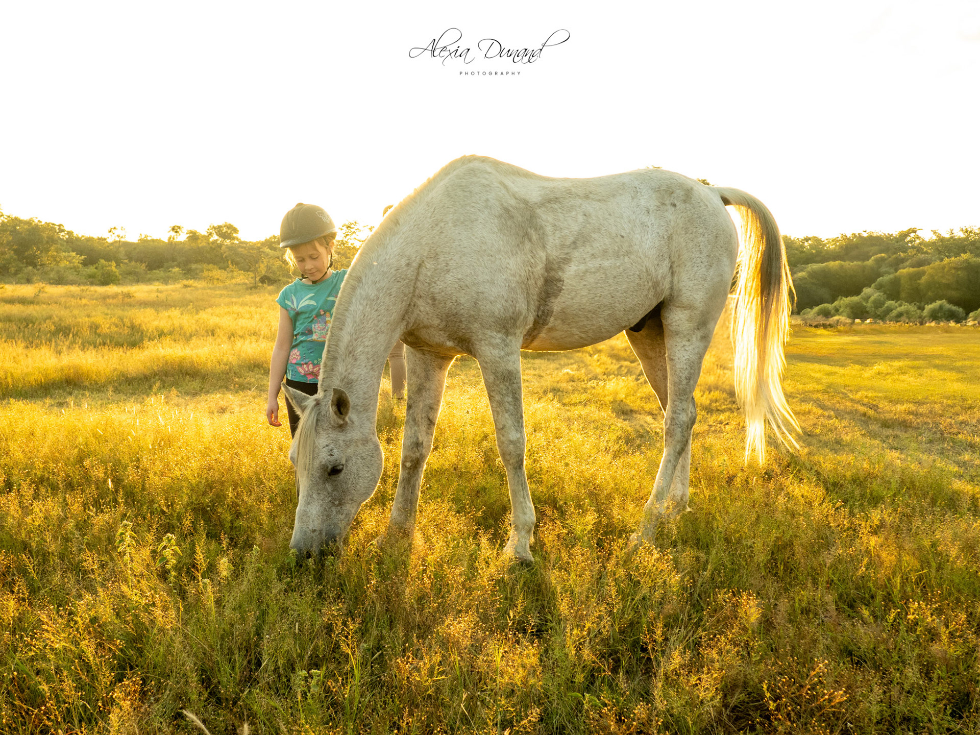 Safari à dos de cheval