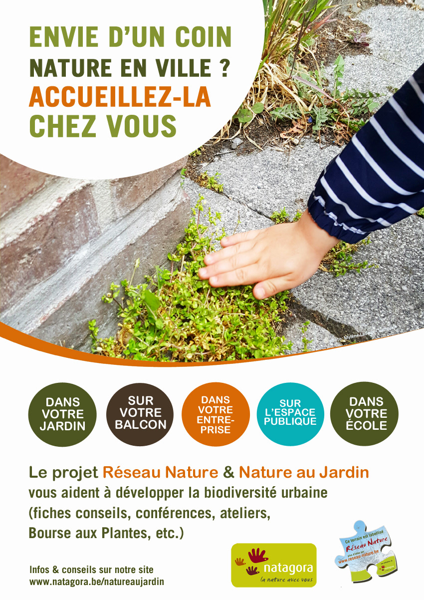 Affiches ASBL / Evénementiel