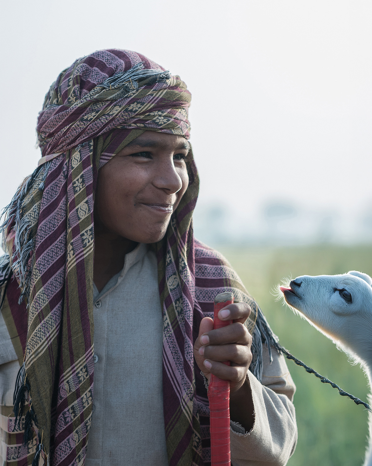 Photo of a Shepherd Boy with Lamb in Pakistan