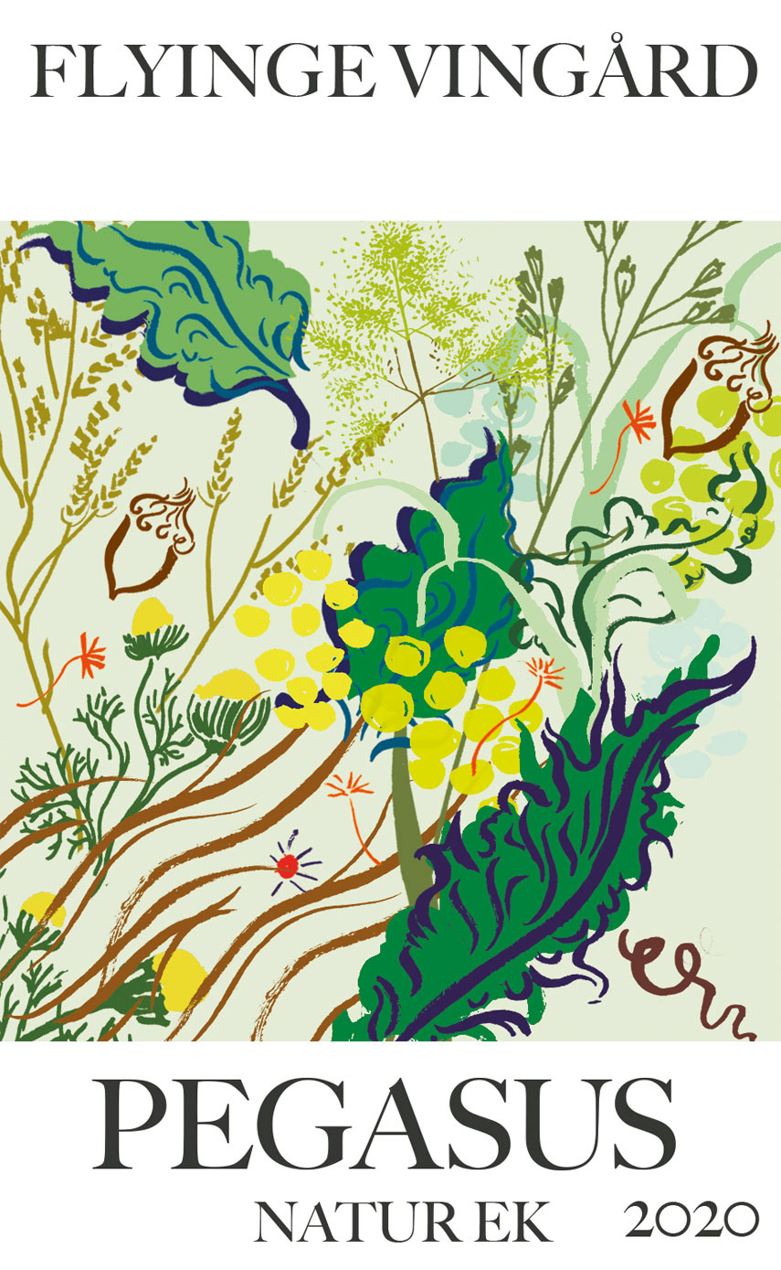 Illustration of  wild greenery, nature and plants showing permaculture farming and gardening in a handmade style using ink and watercolor in bright colors and semi-abstract handpainted style by illustrator Lina Ekstrand for Nature wine wine bottle label.
