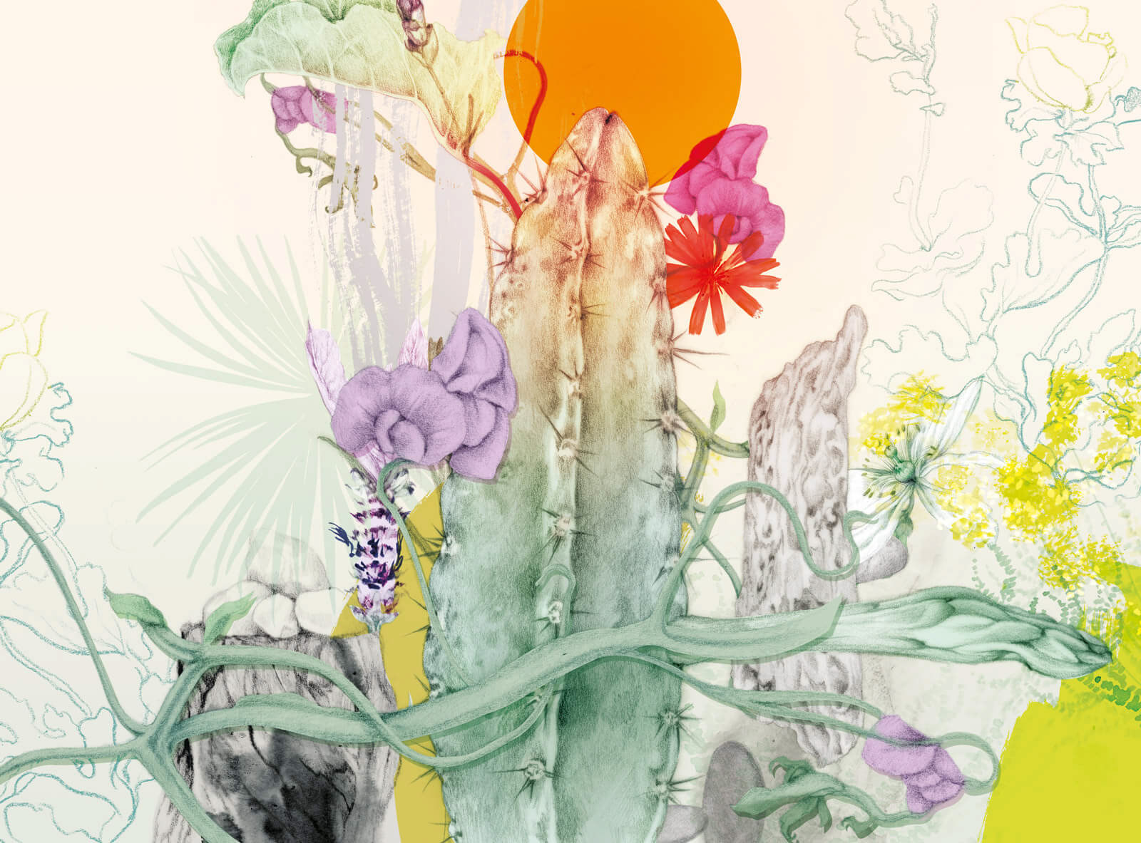 Lina Ekstrand illustration of flowers from Derek Jarmans garden made in pencil and ink