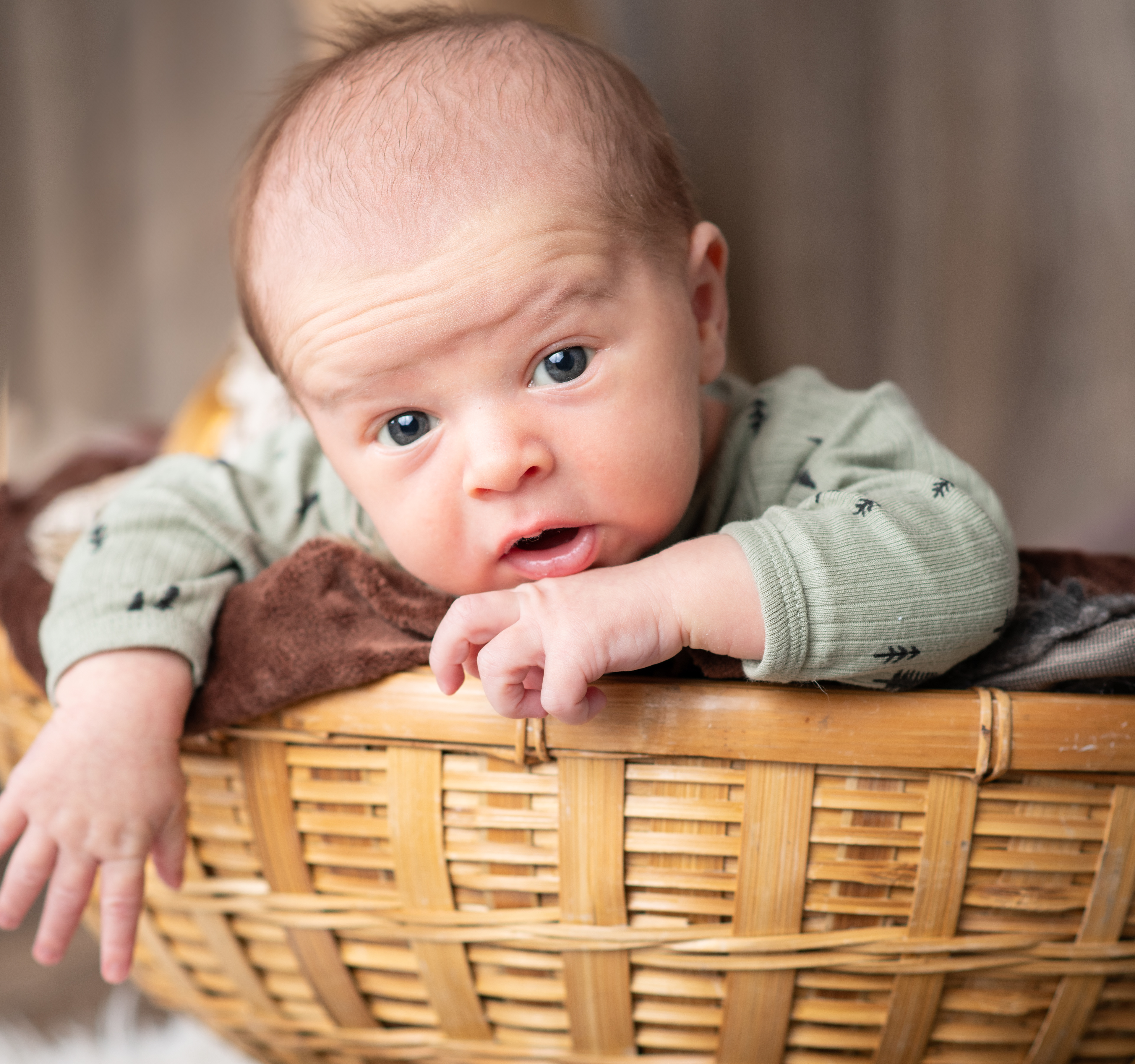 Newborn