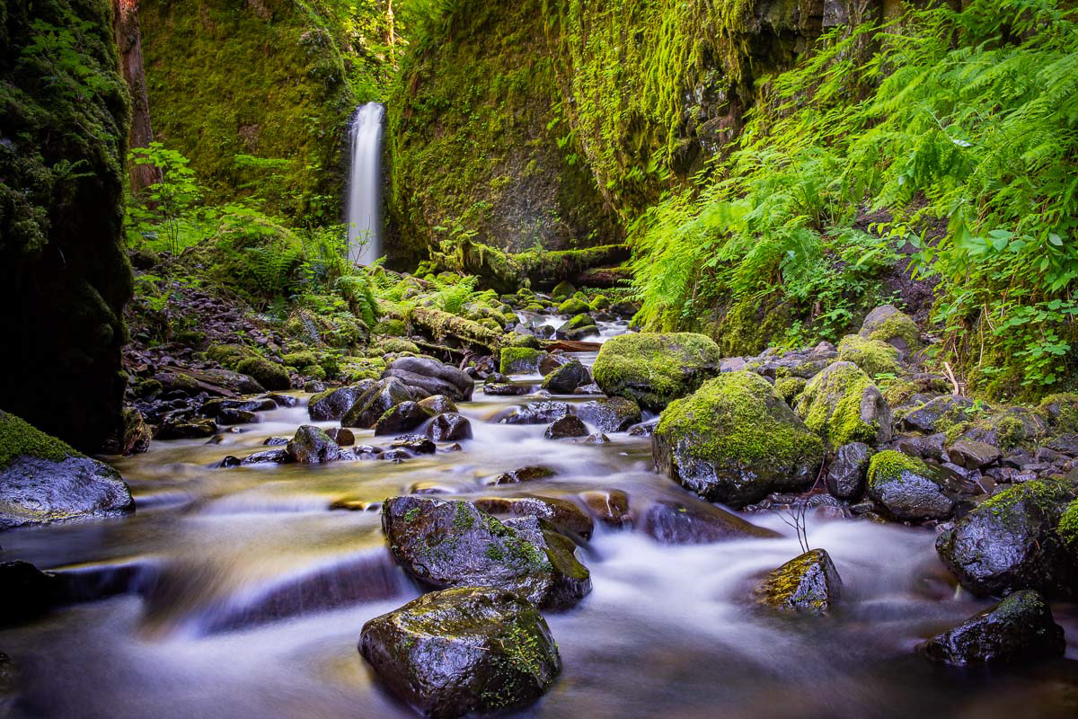 Mossy Grotto Falls 1